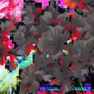 beautiful scenery  : Stone Flowers #24