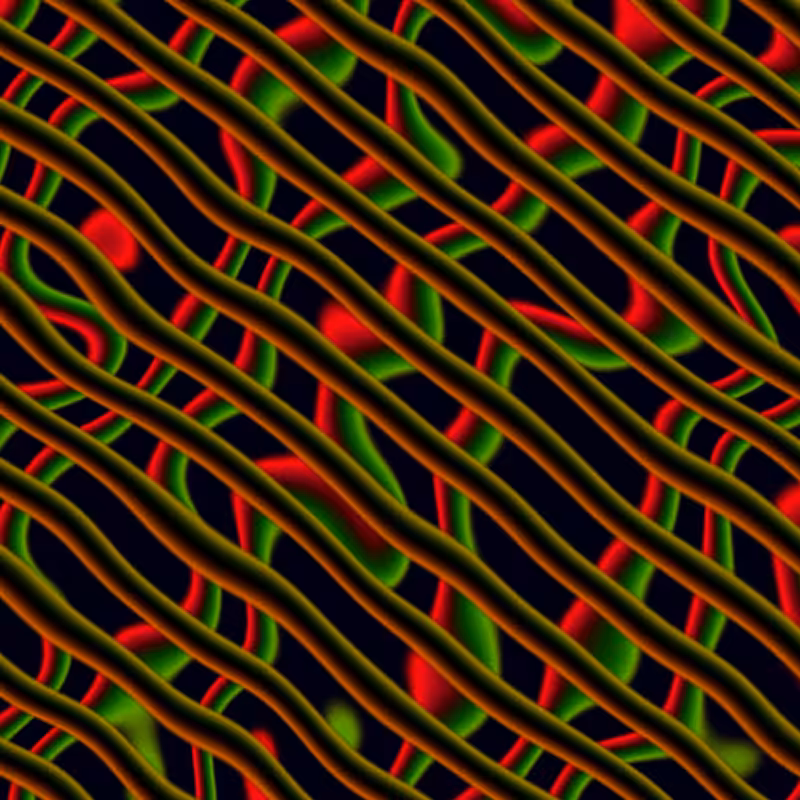 Electric Worms #1