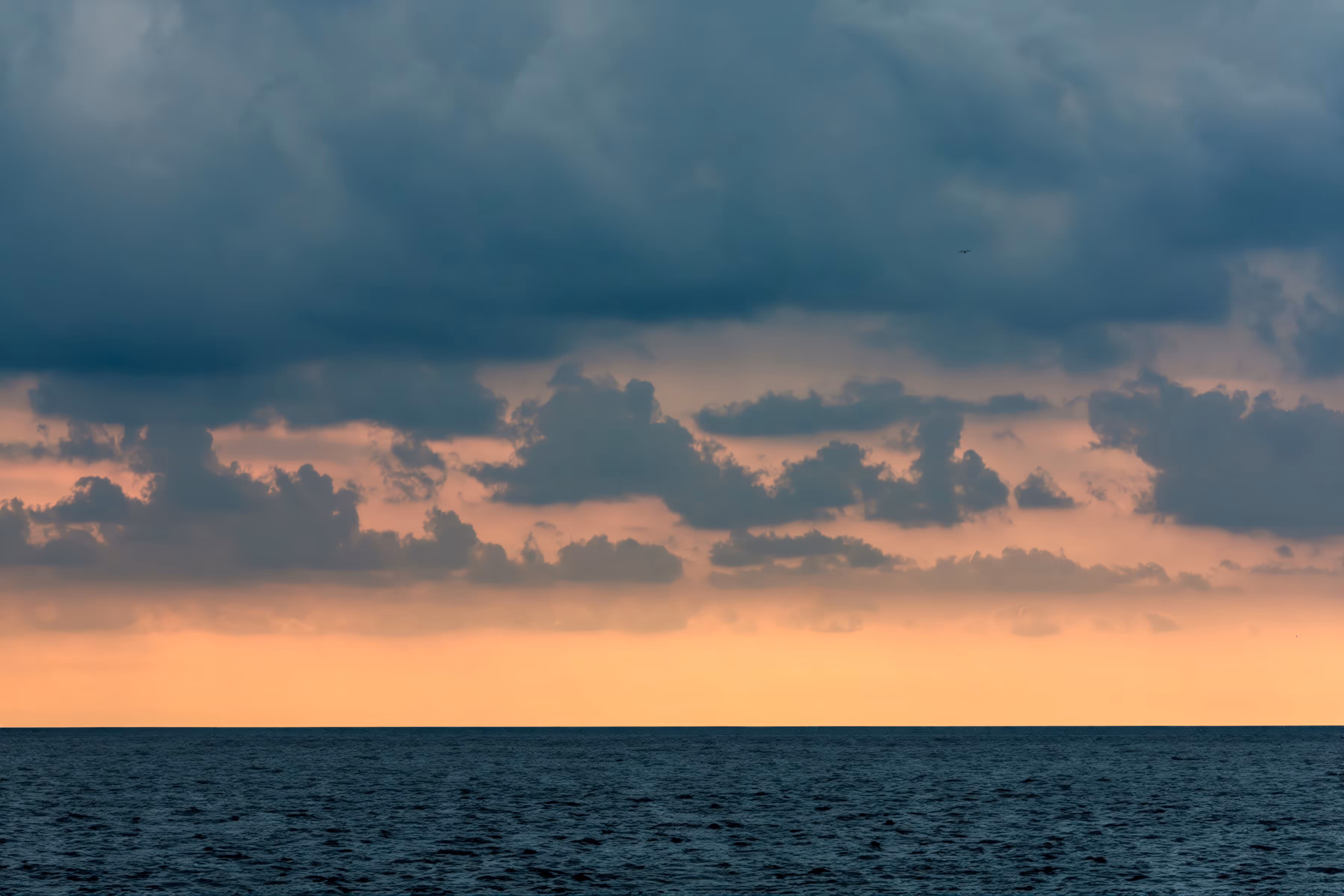 Horizon of Hope