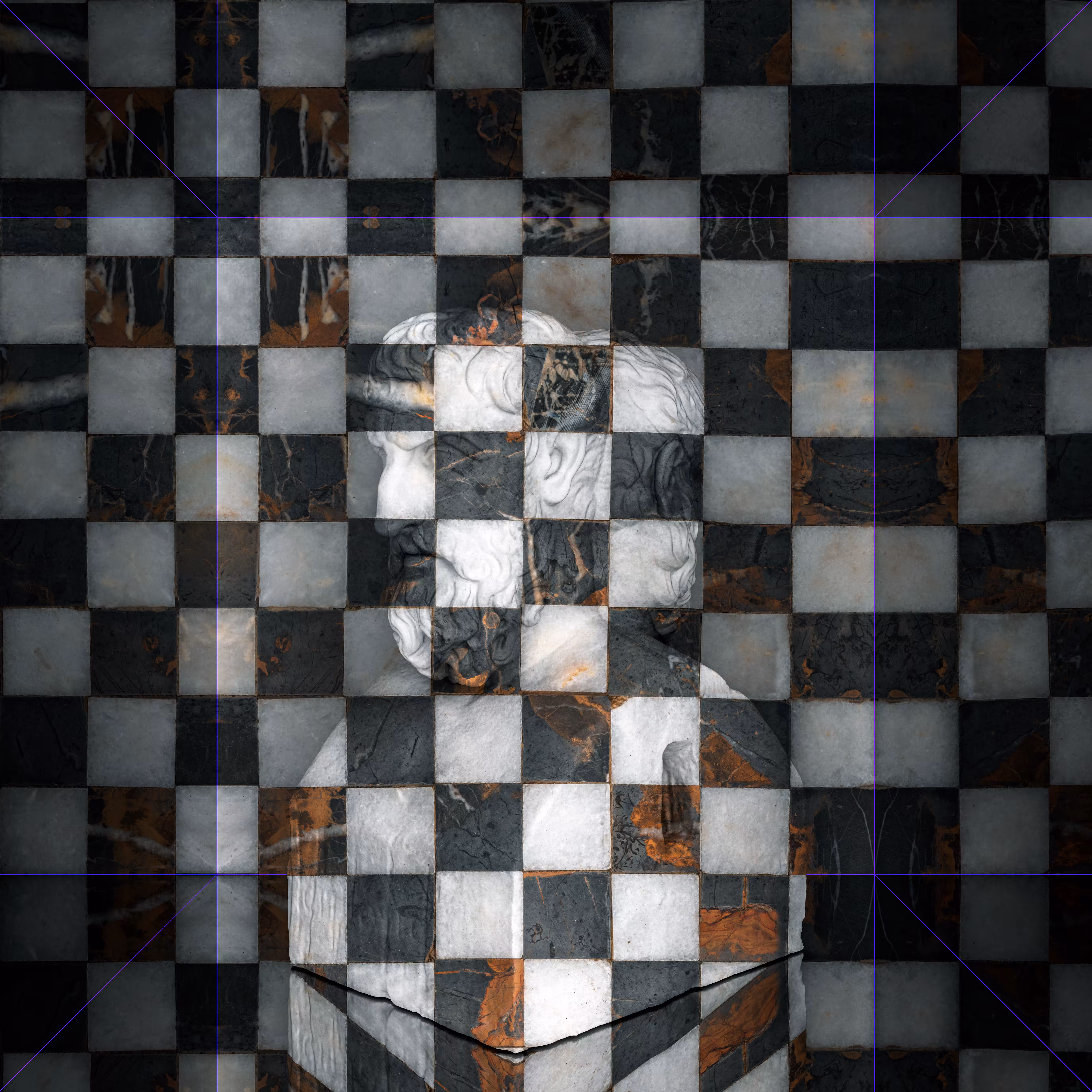 Kamaleonte_No.02