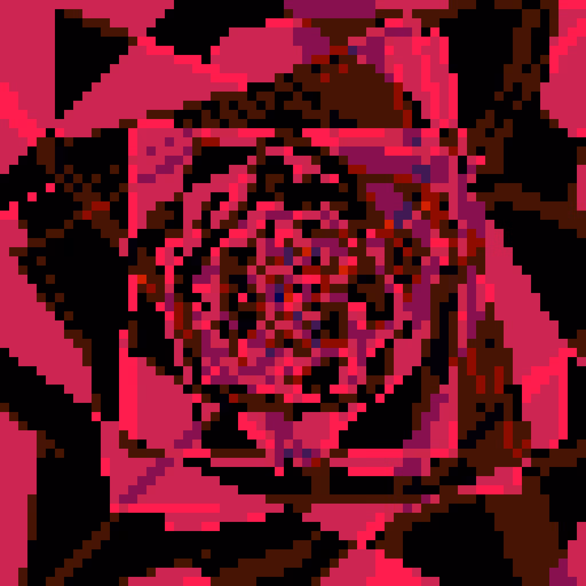 Voidroses #34