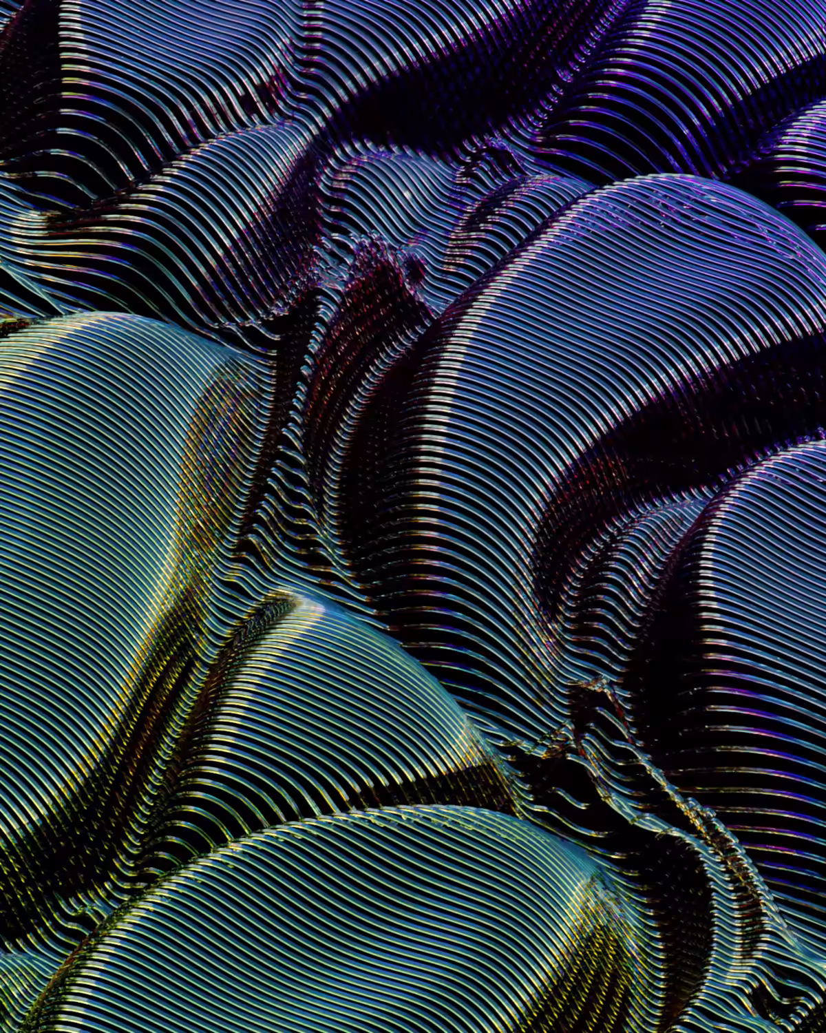elucidate