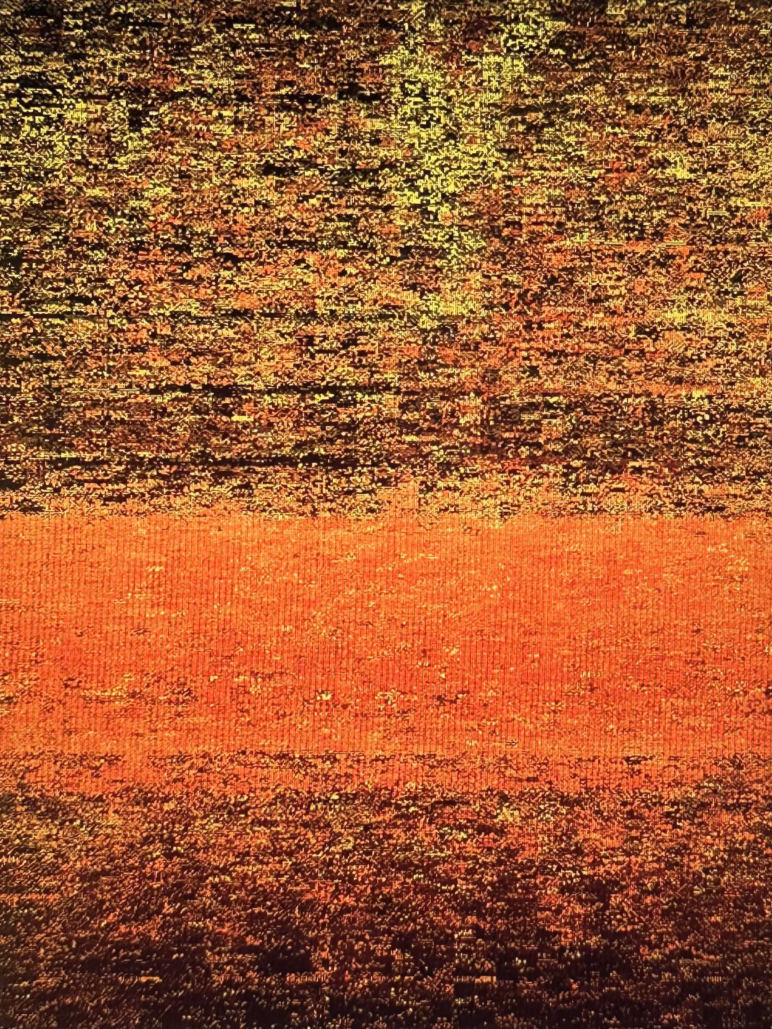 LOWREZ050