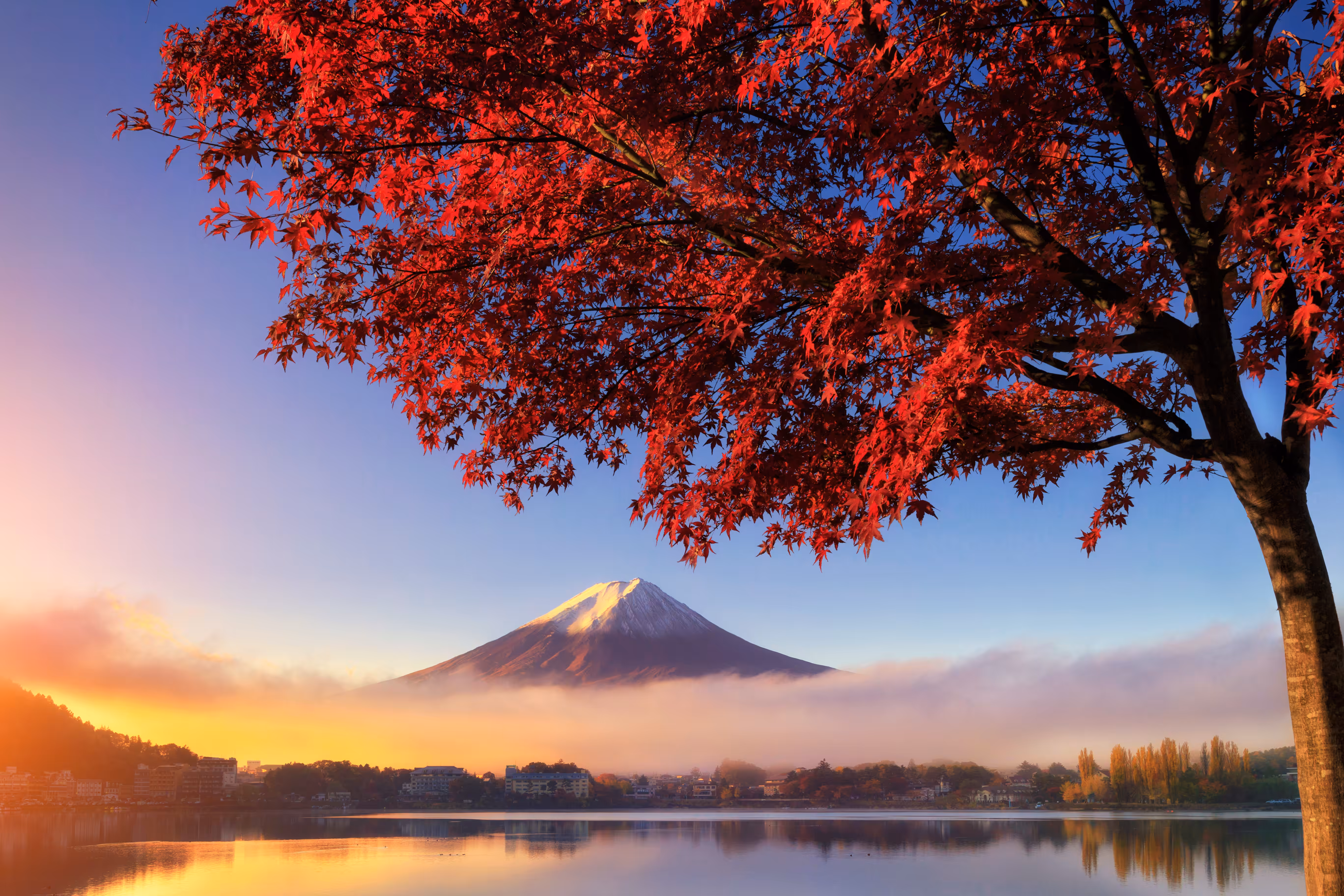 Koyo Fujisan