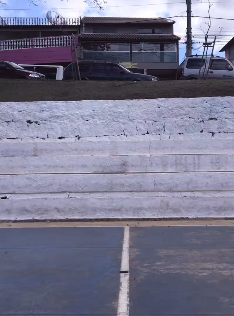 ss heelflip 