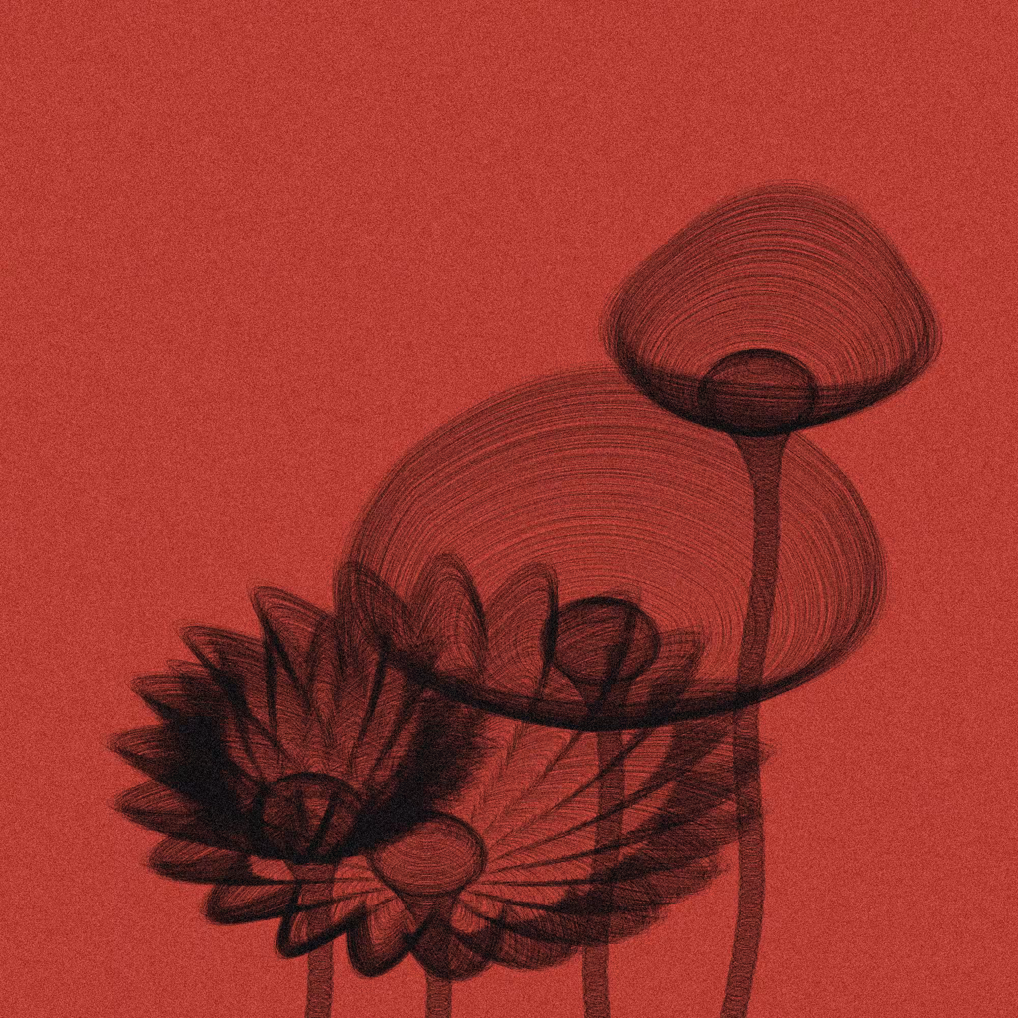 Code Flowers #10