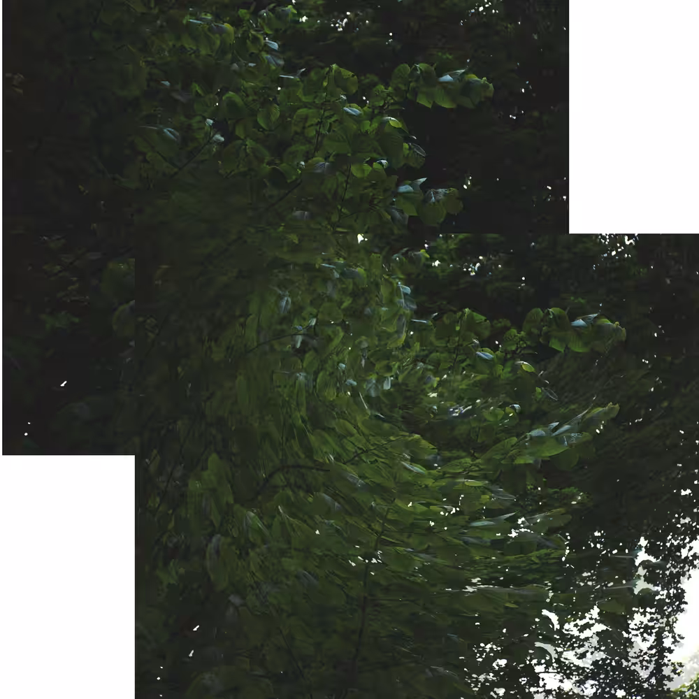 twisty i
