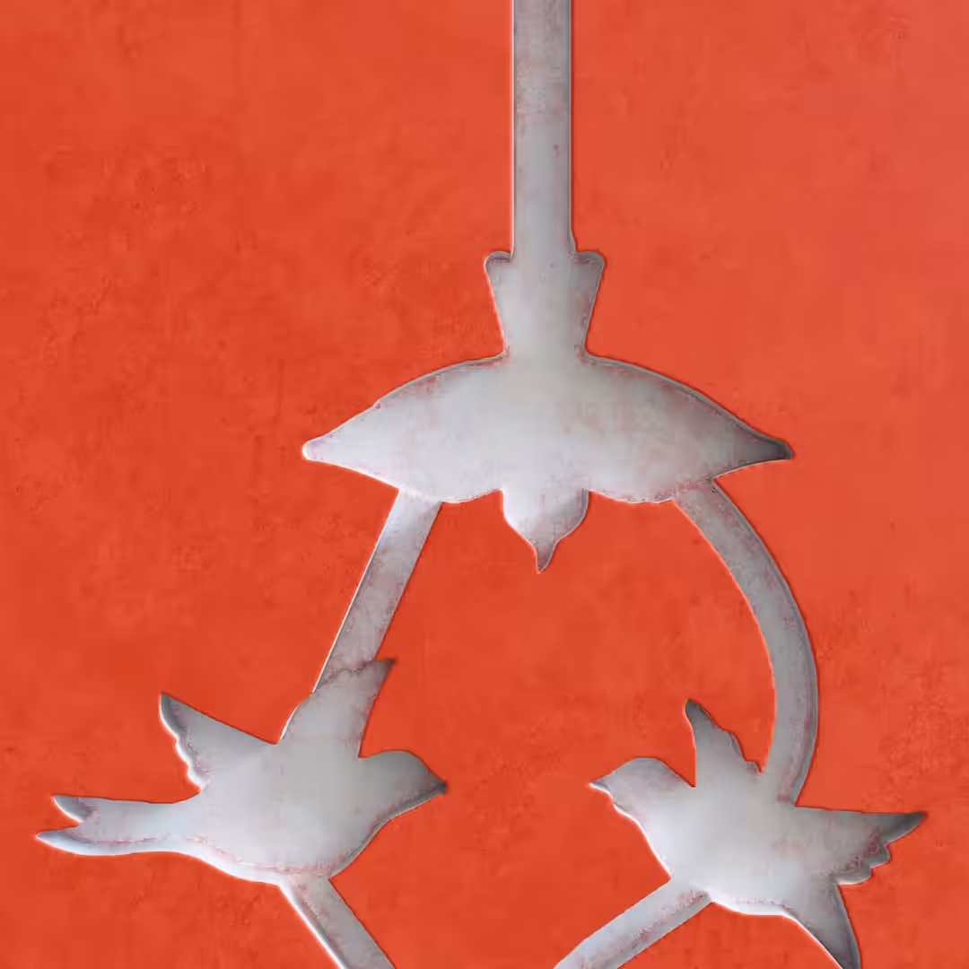 Flowing birds