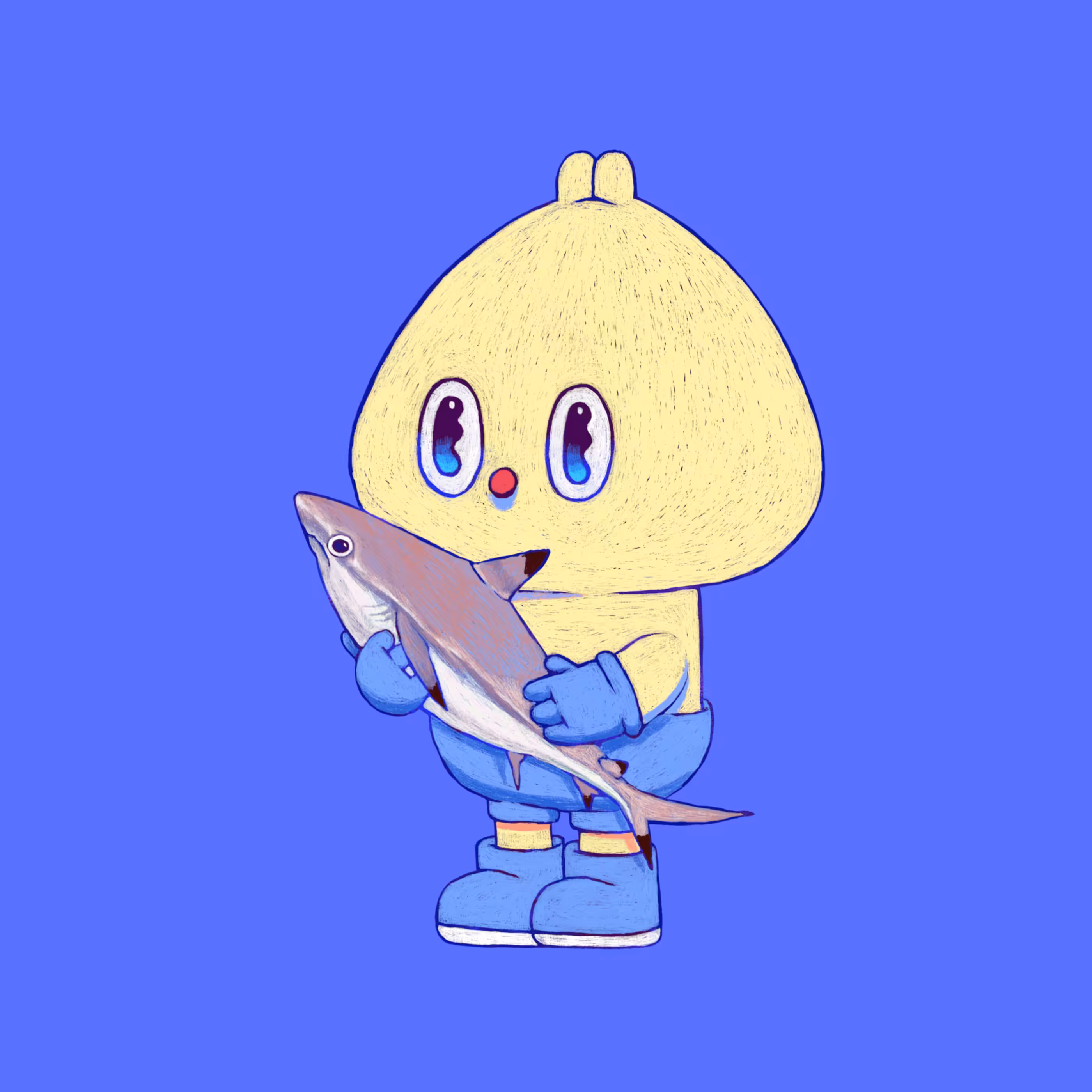 GOTCHA#19 (BLACKTIP REEF SHARK)
