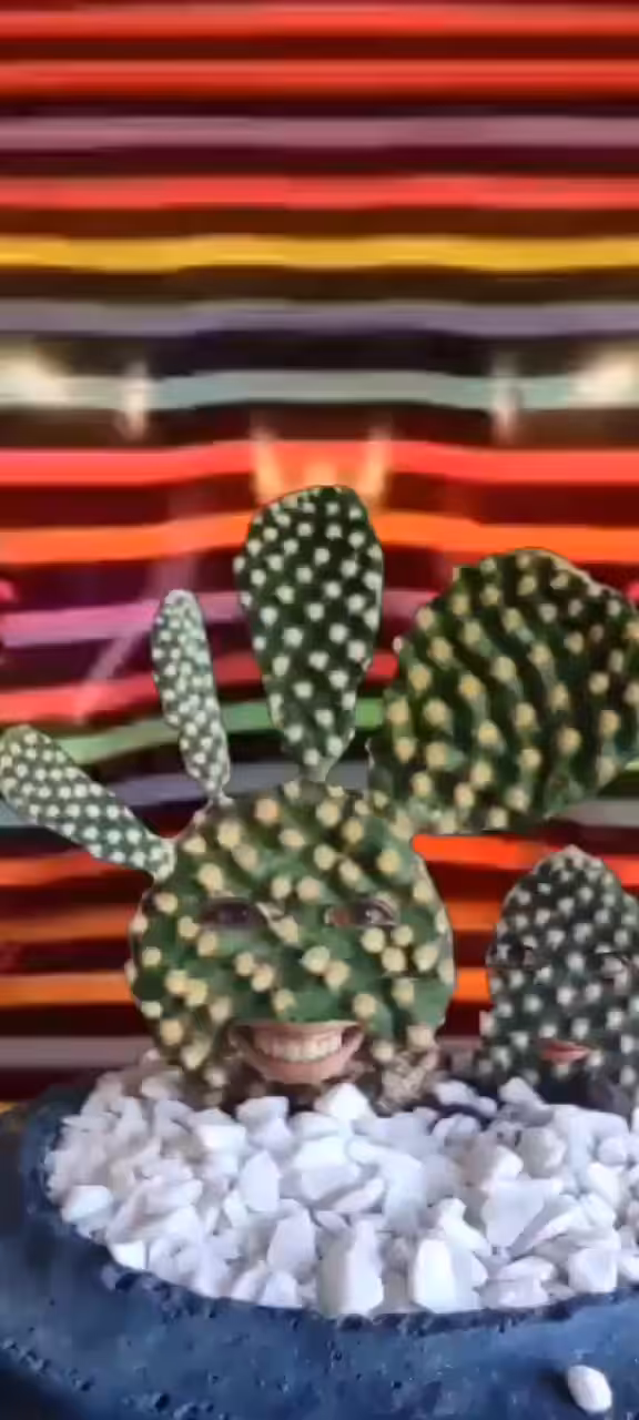 Mad Cactus