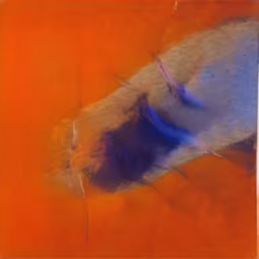 003