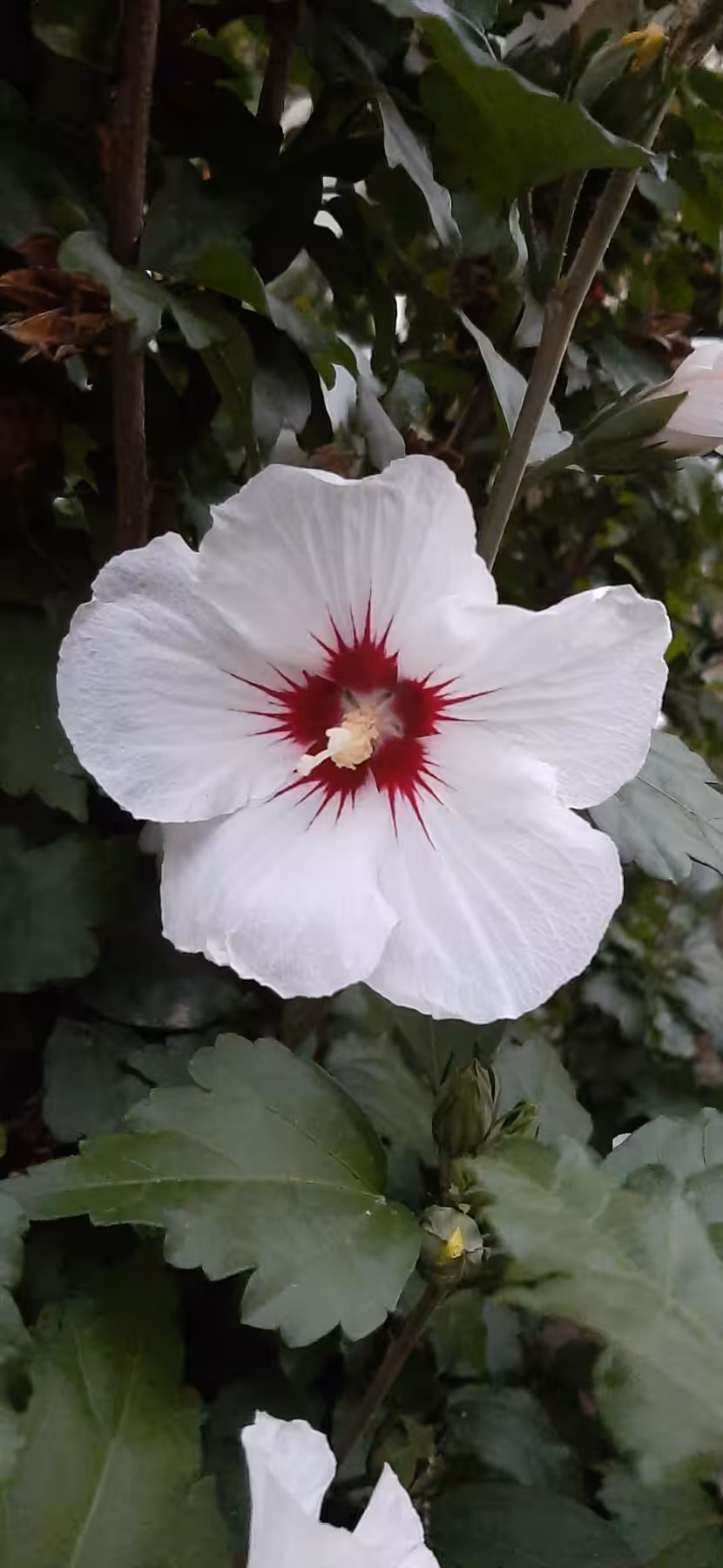 Notice the beauty!