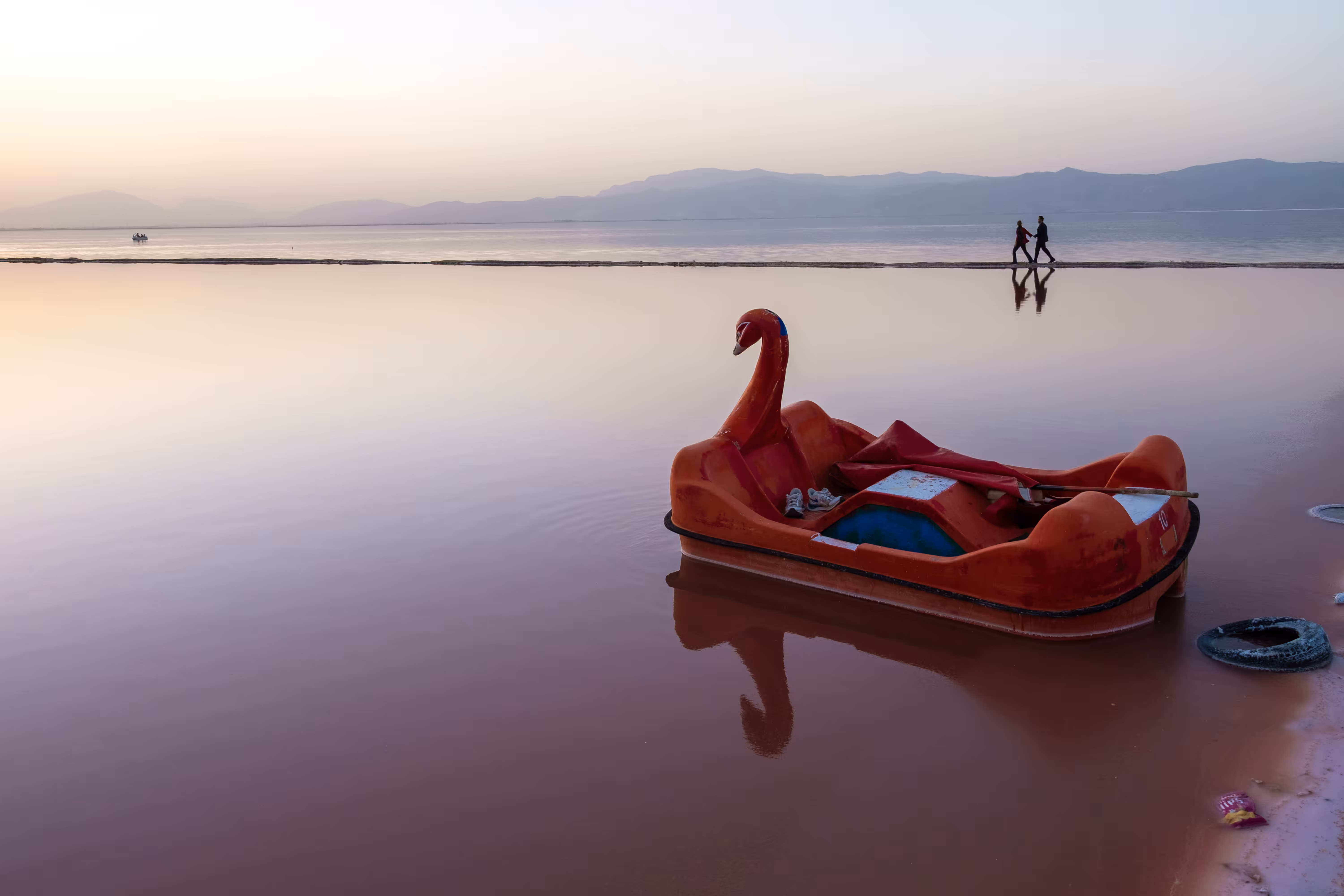 my photography: Red Swan