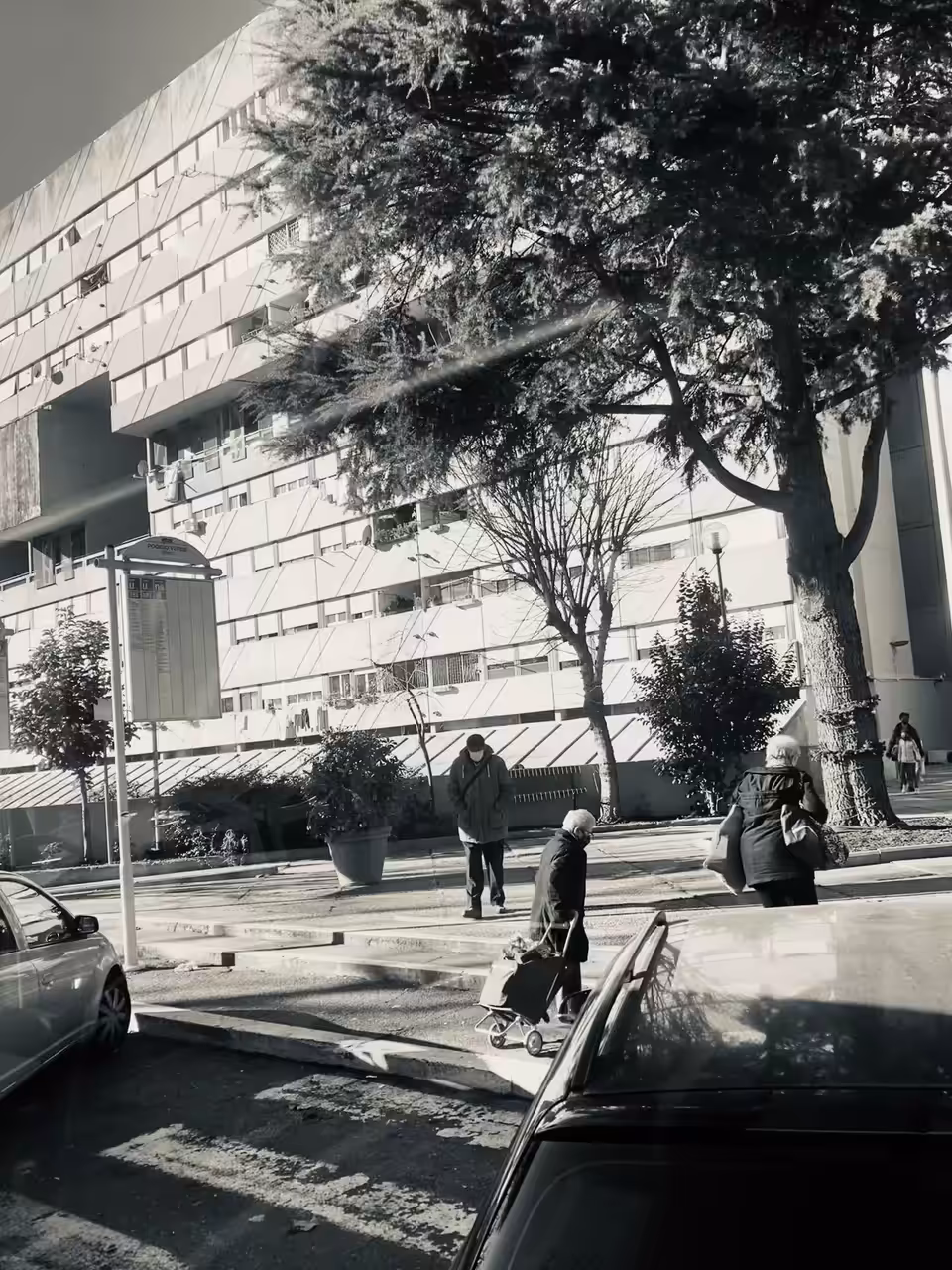 CORVIALE 986