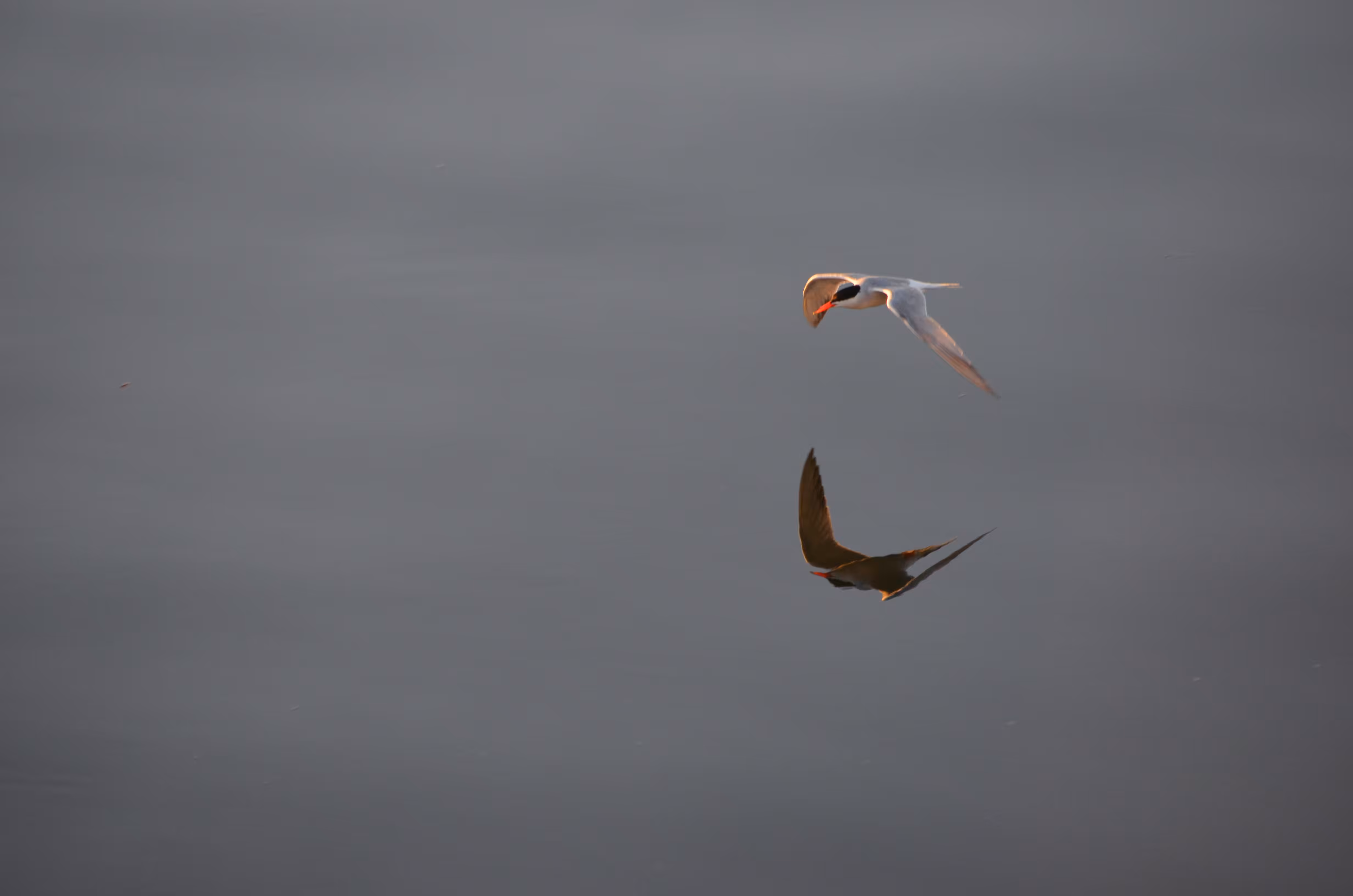 Flying With Oneself