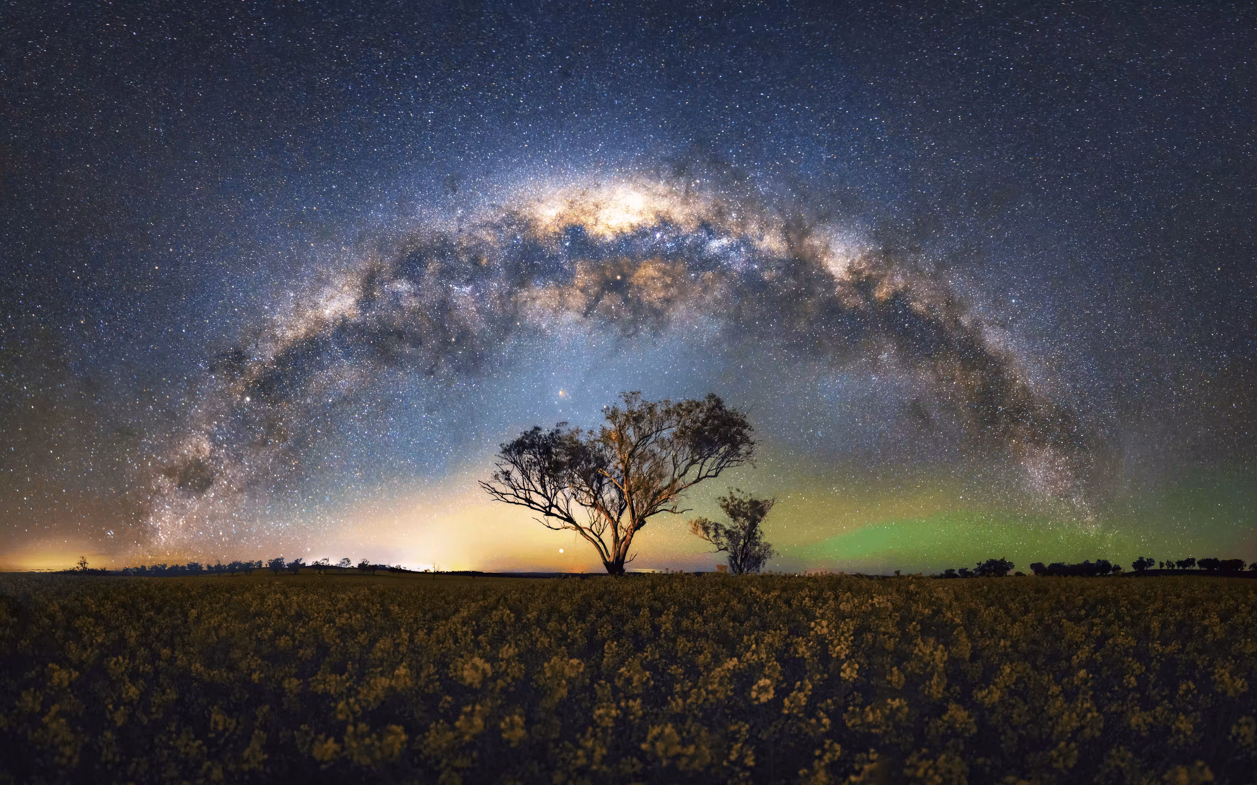 A Cluster of Stars: Field of Stars