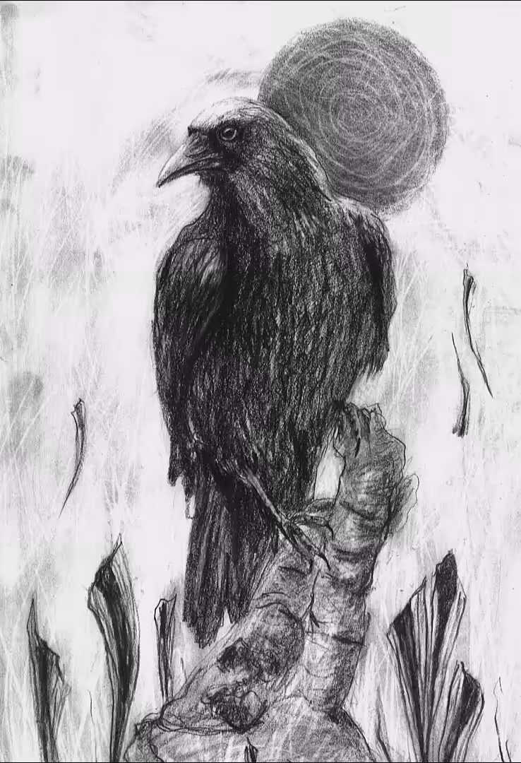The Crow’s Dusk 
