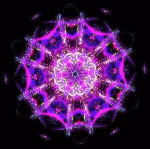 The Mandala Project I