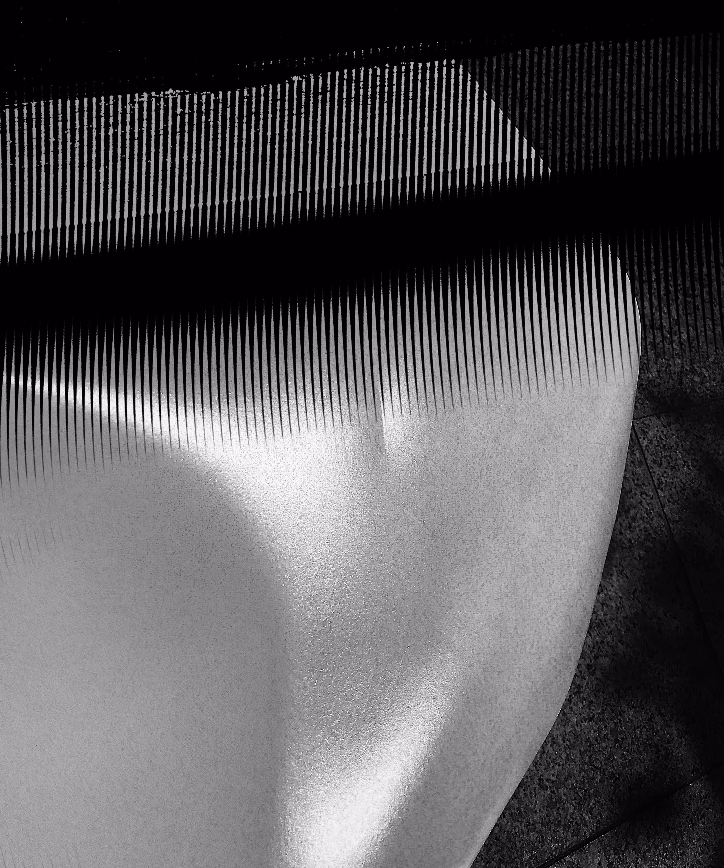 Body 07