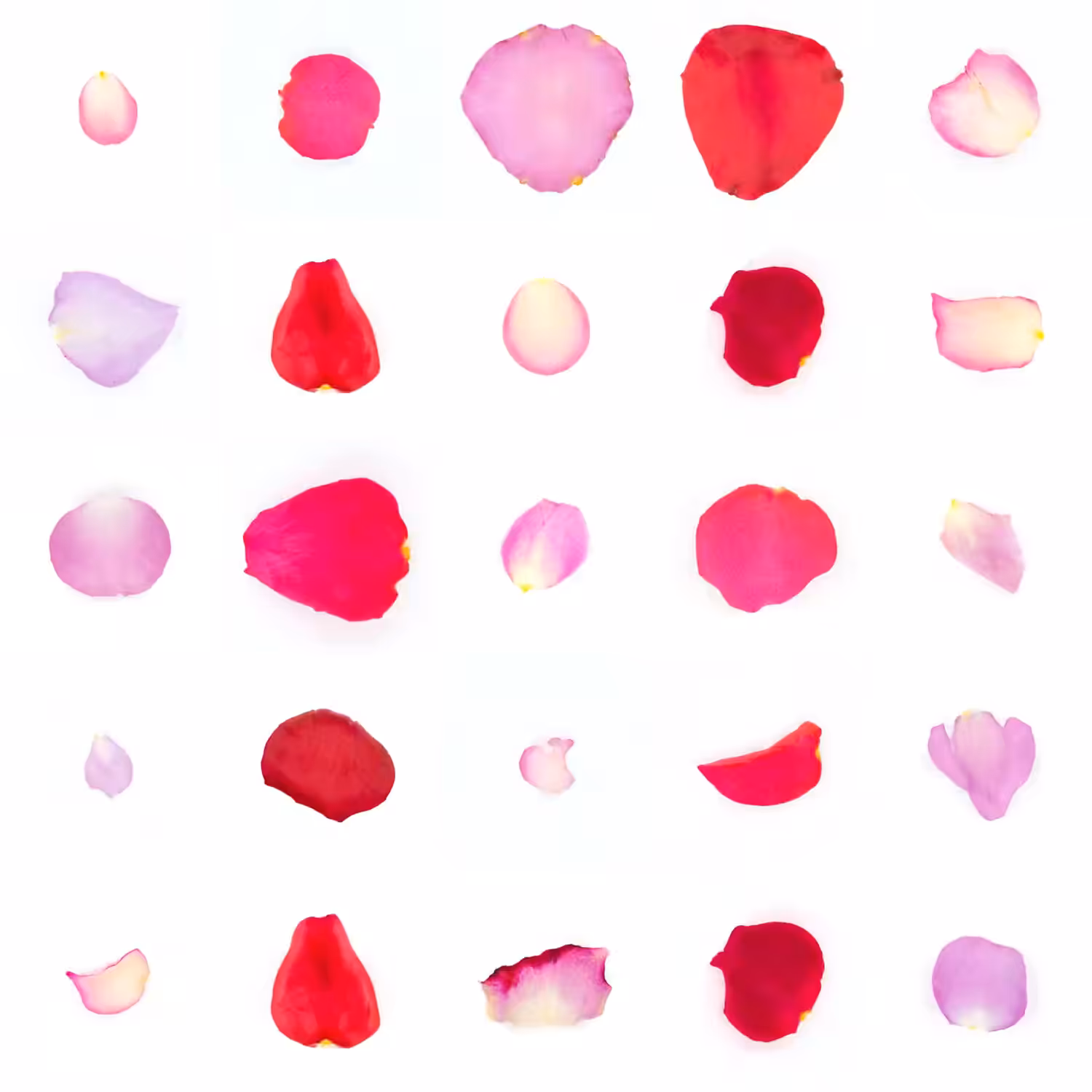 Infinite Petals 5x5#20789