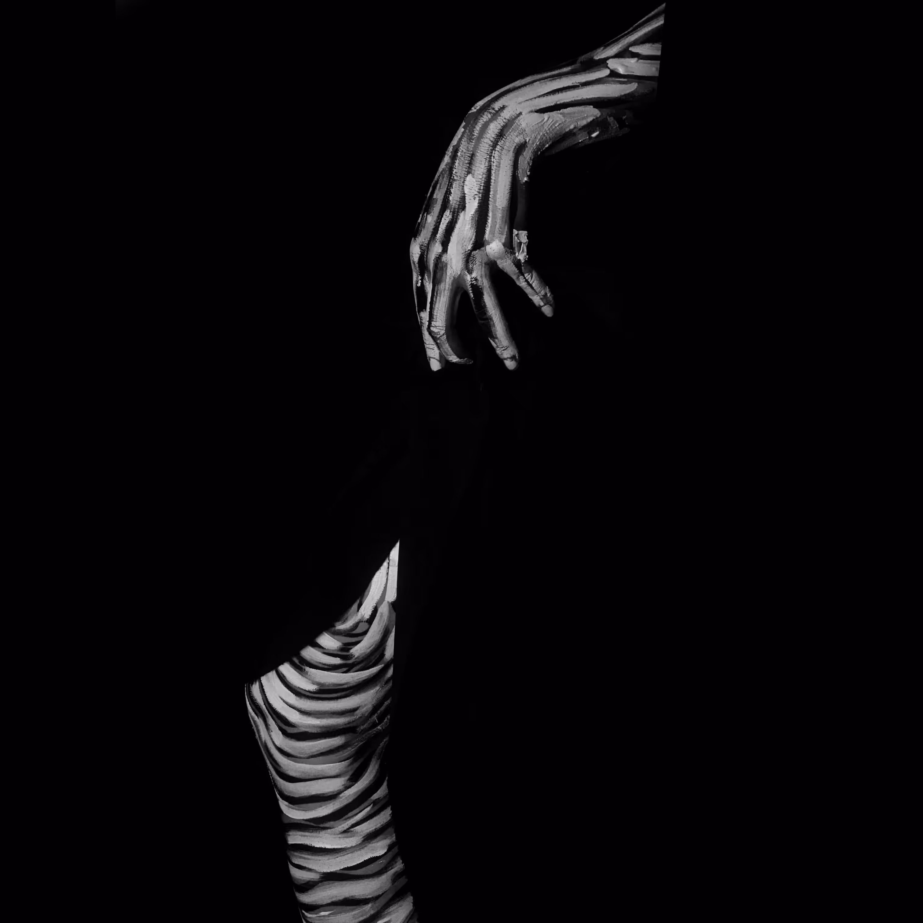 Beauty of Creation 06