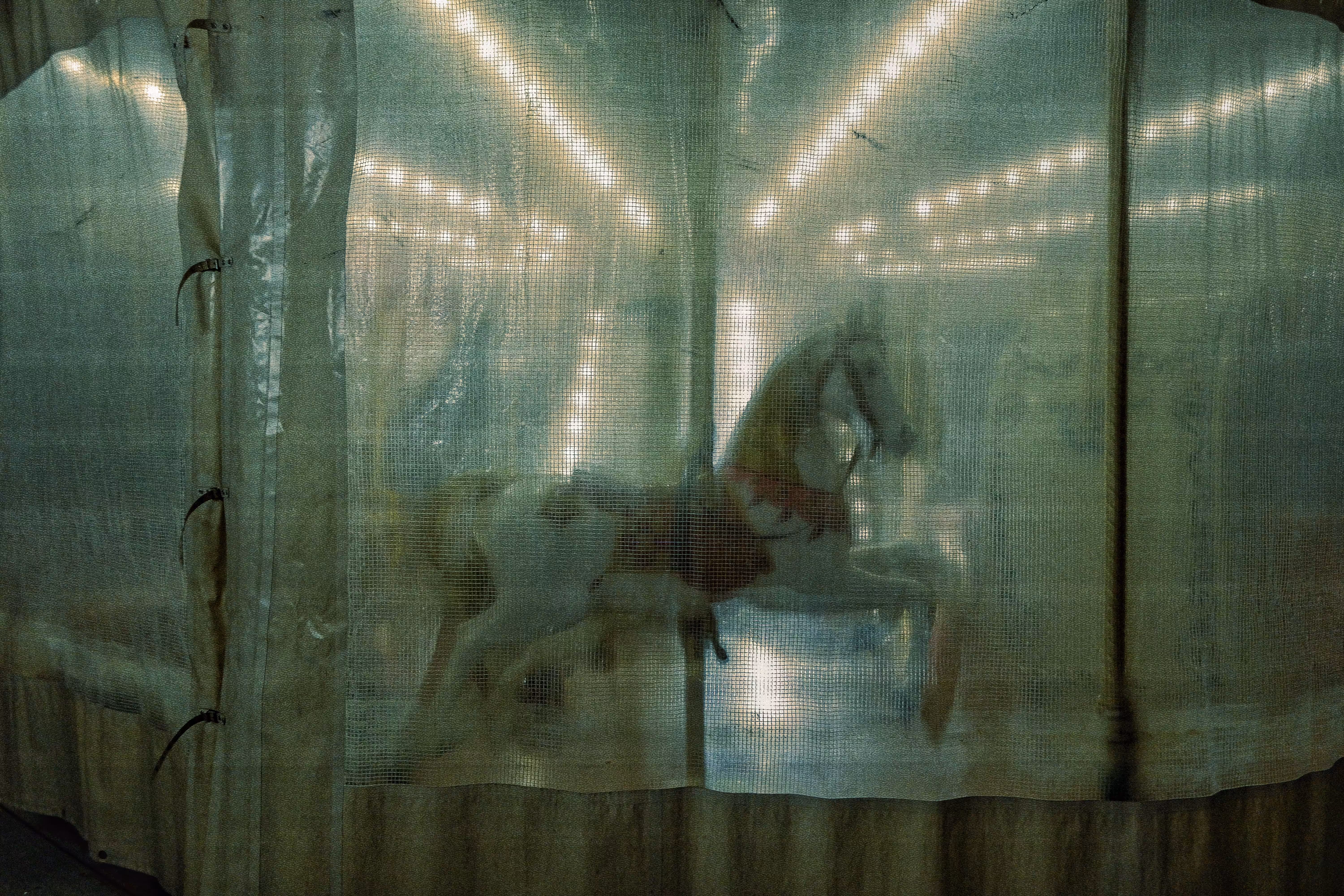 merry-go-round 
