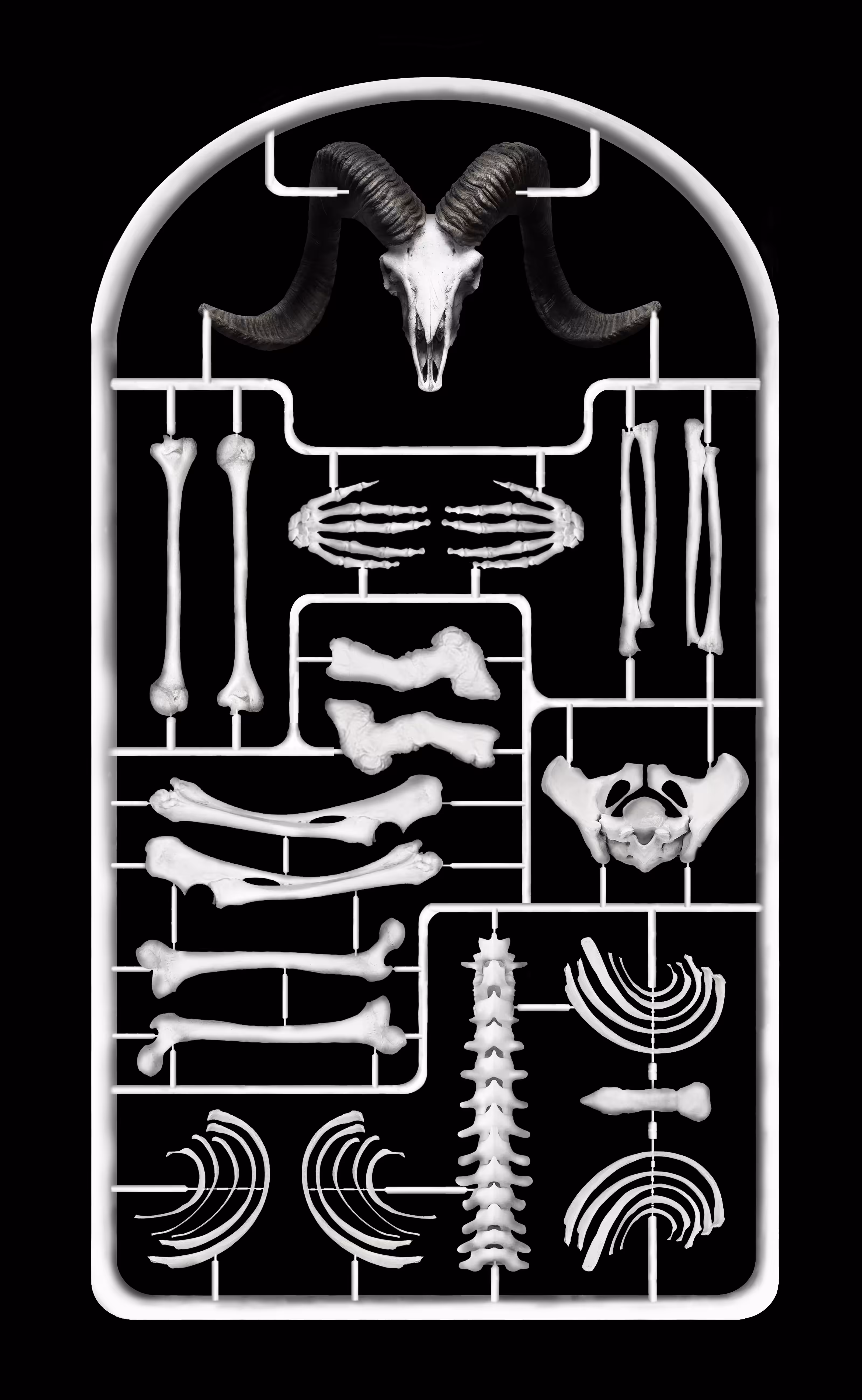 How GOD Create Us 002 ( Mr. B )