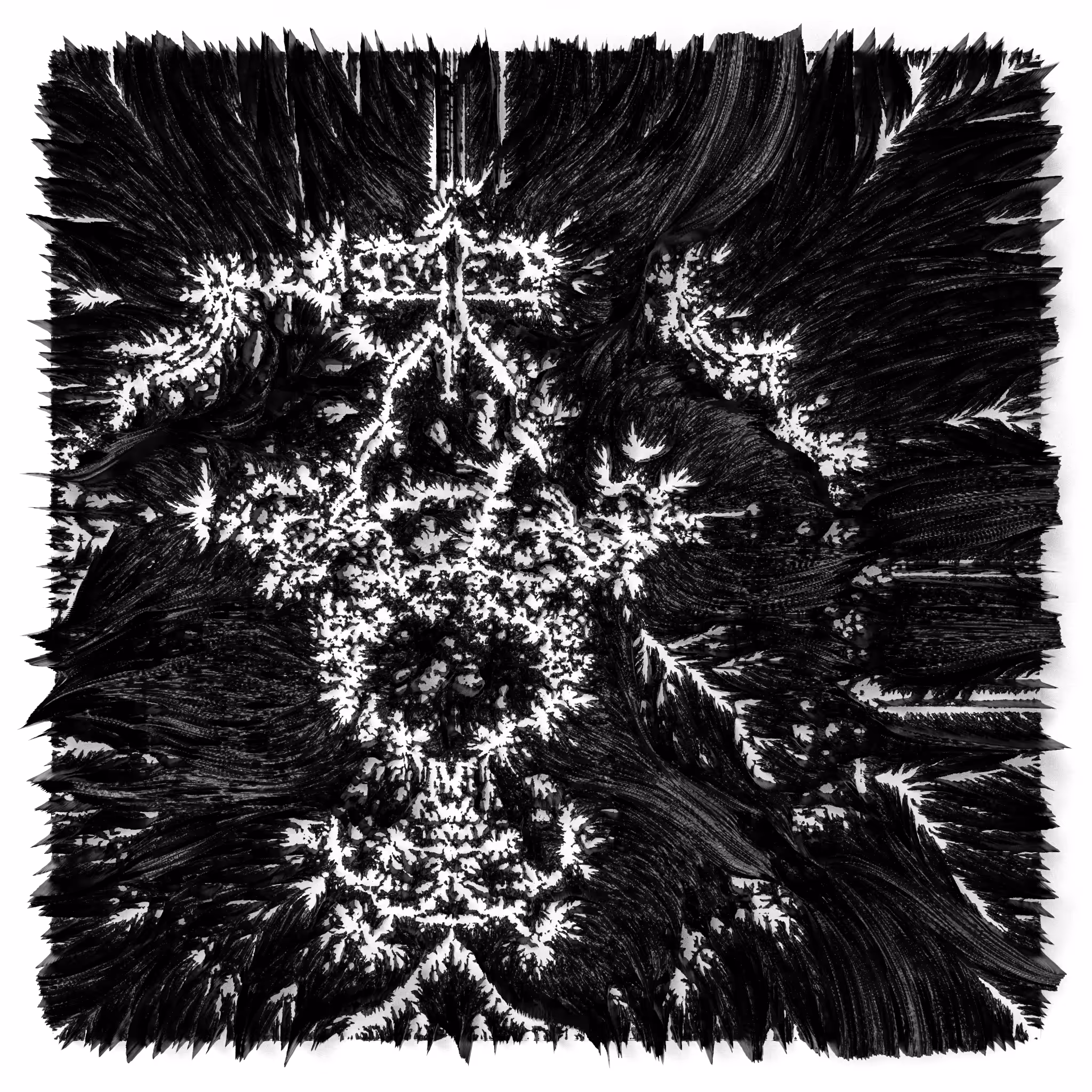BW Algoscapes 14