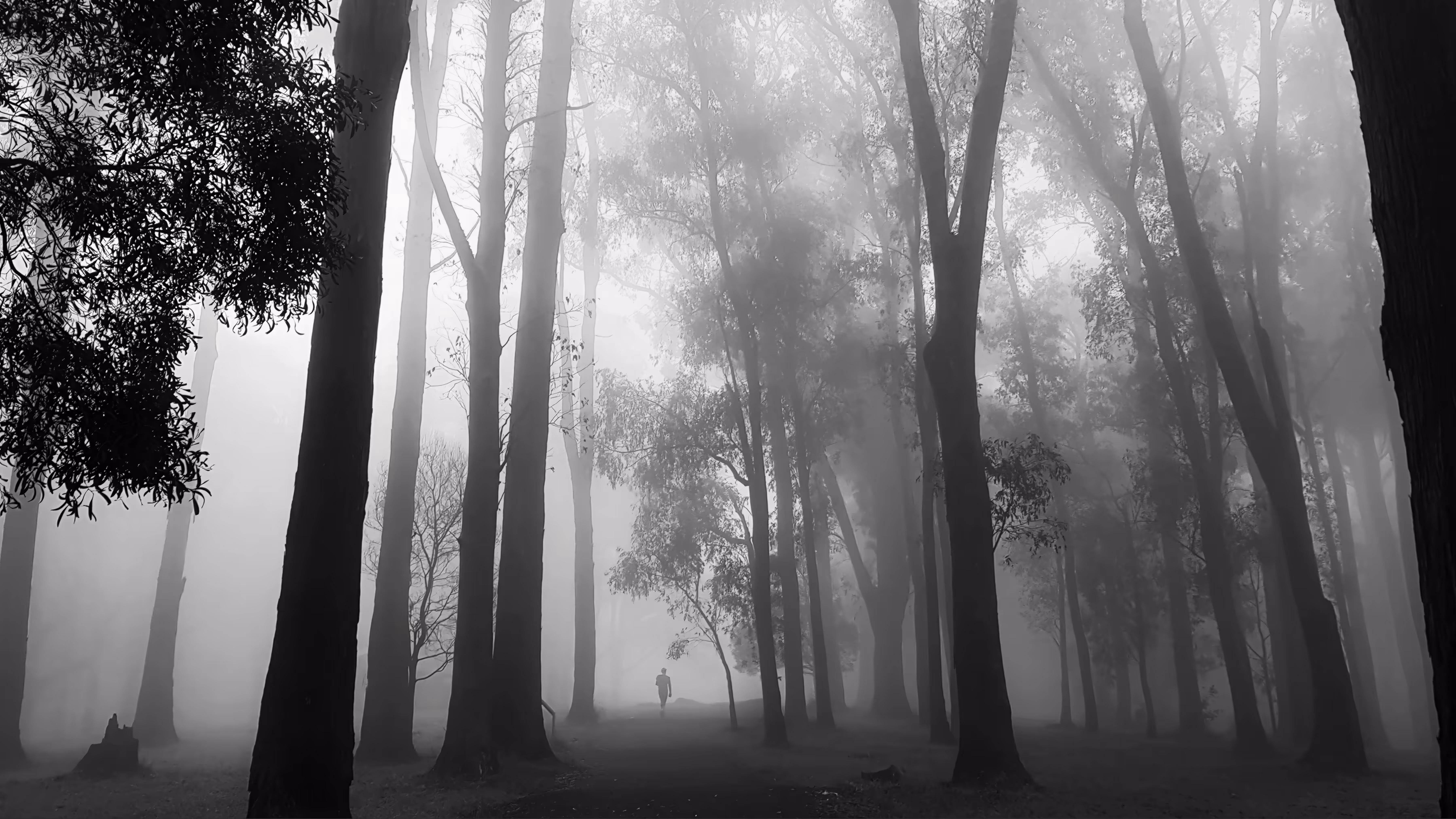 The Unseen Passage