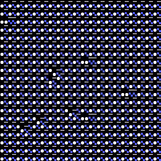 CGA Safari #131