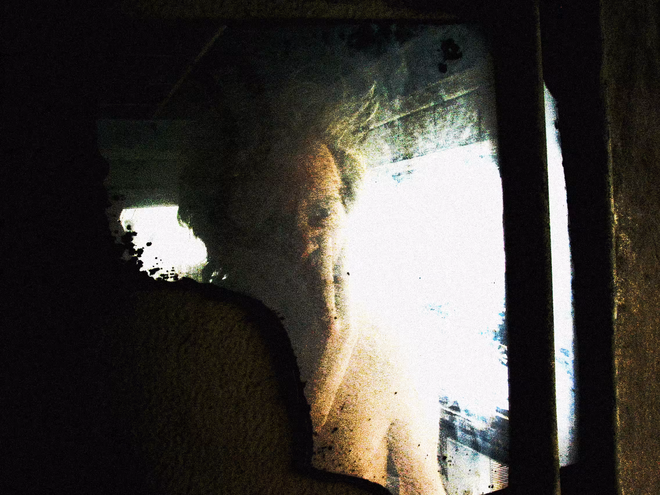 Reflecting Still
