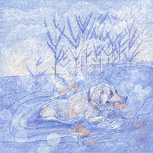 Lazy Day: Bim and the Water Lilies
