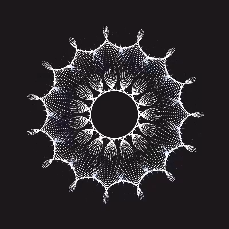 Pulsar #53