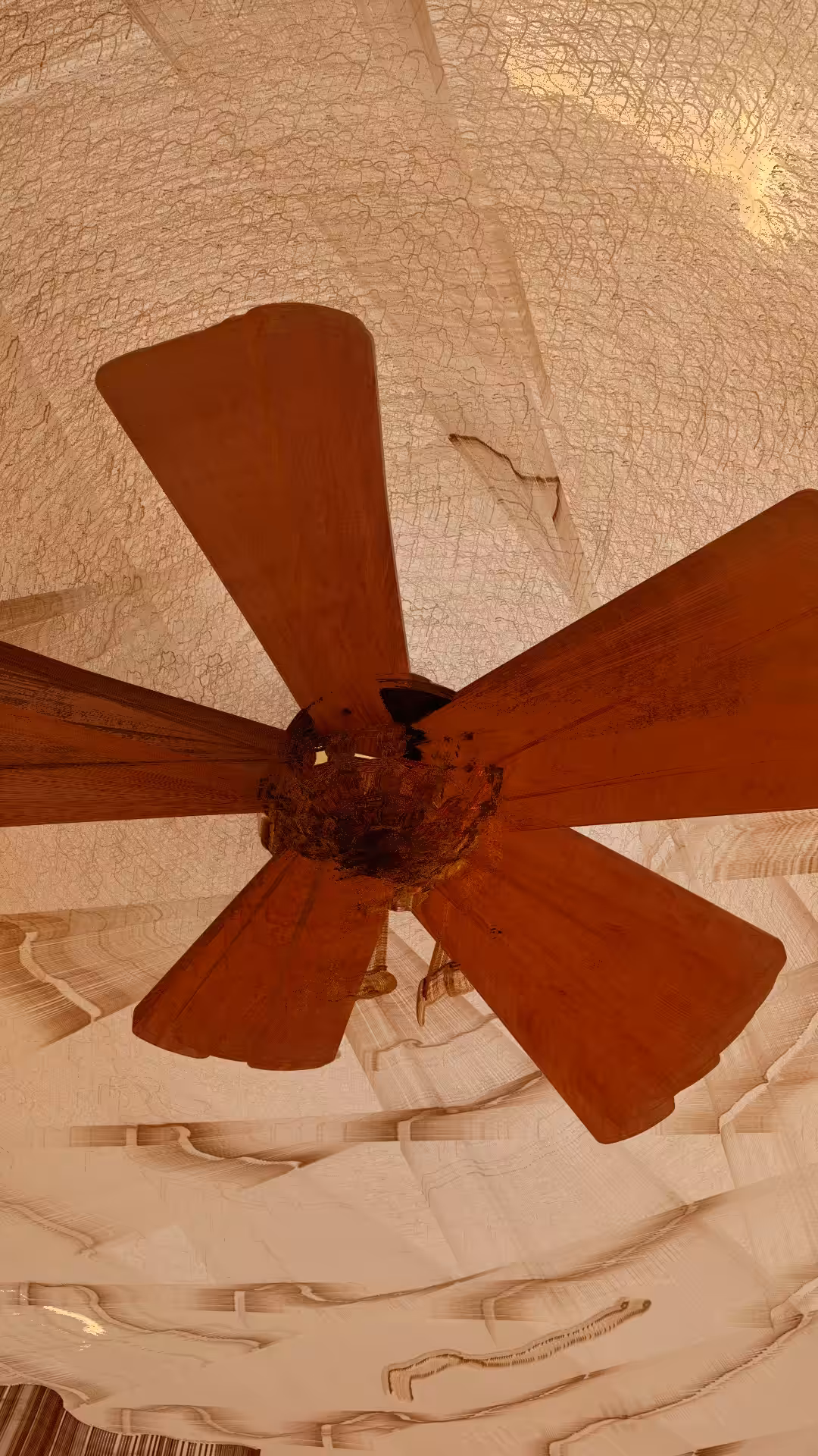 I'm a fan