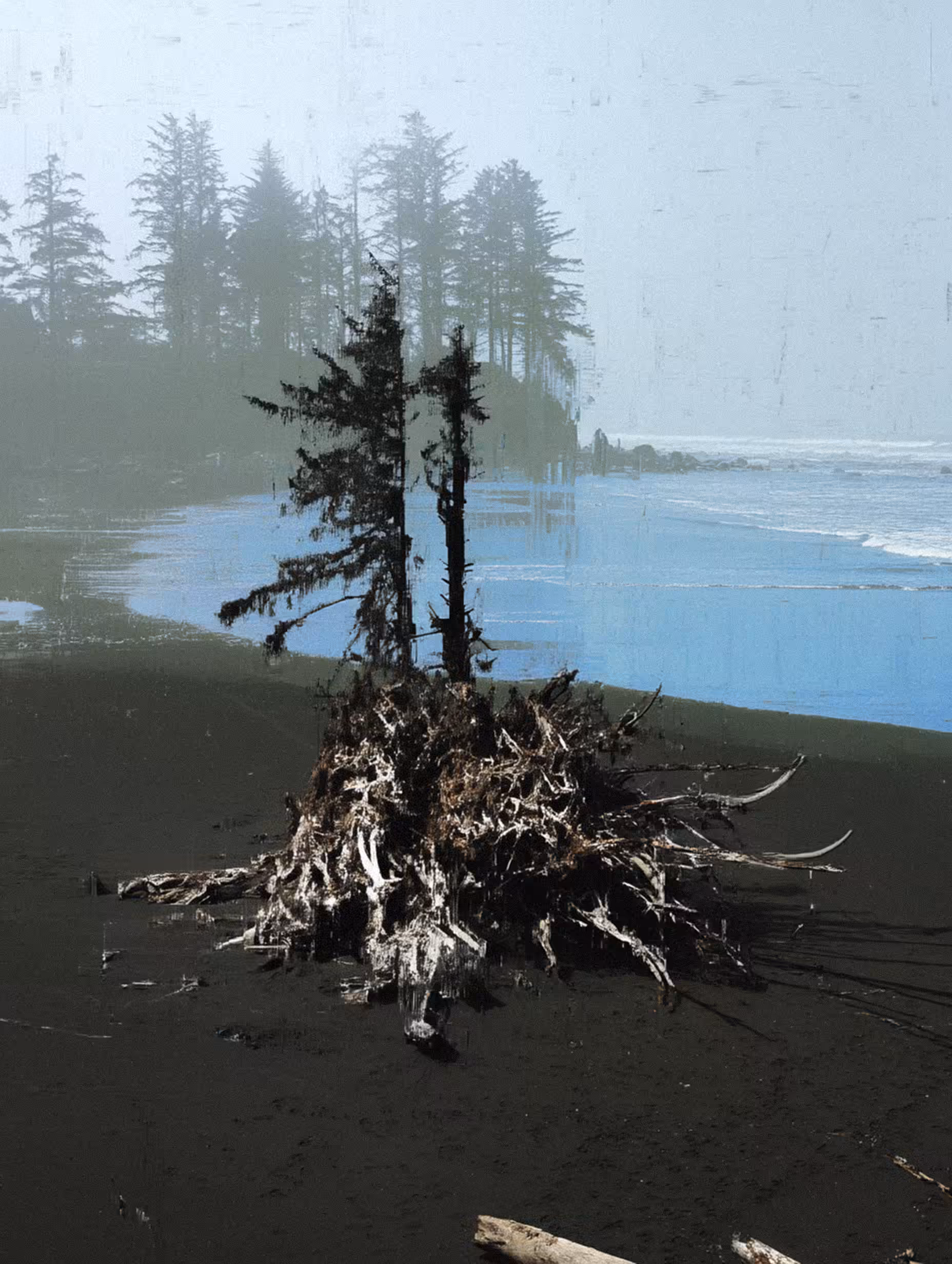 NeLandscape [12]