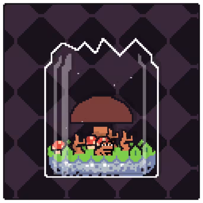 Toad Terrarium #235