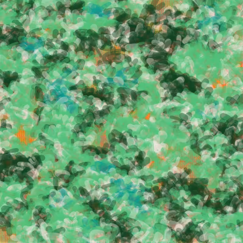 Petri 1500 #307