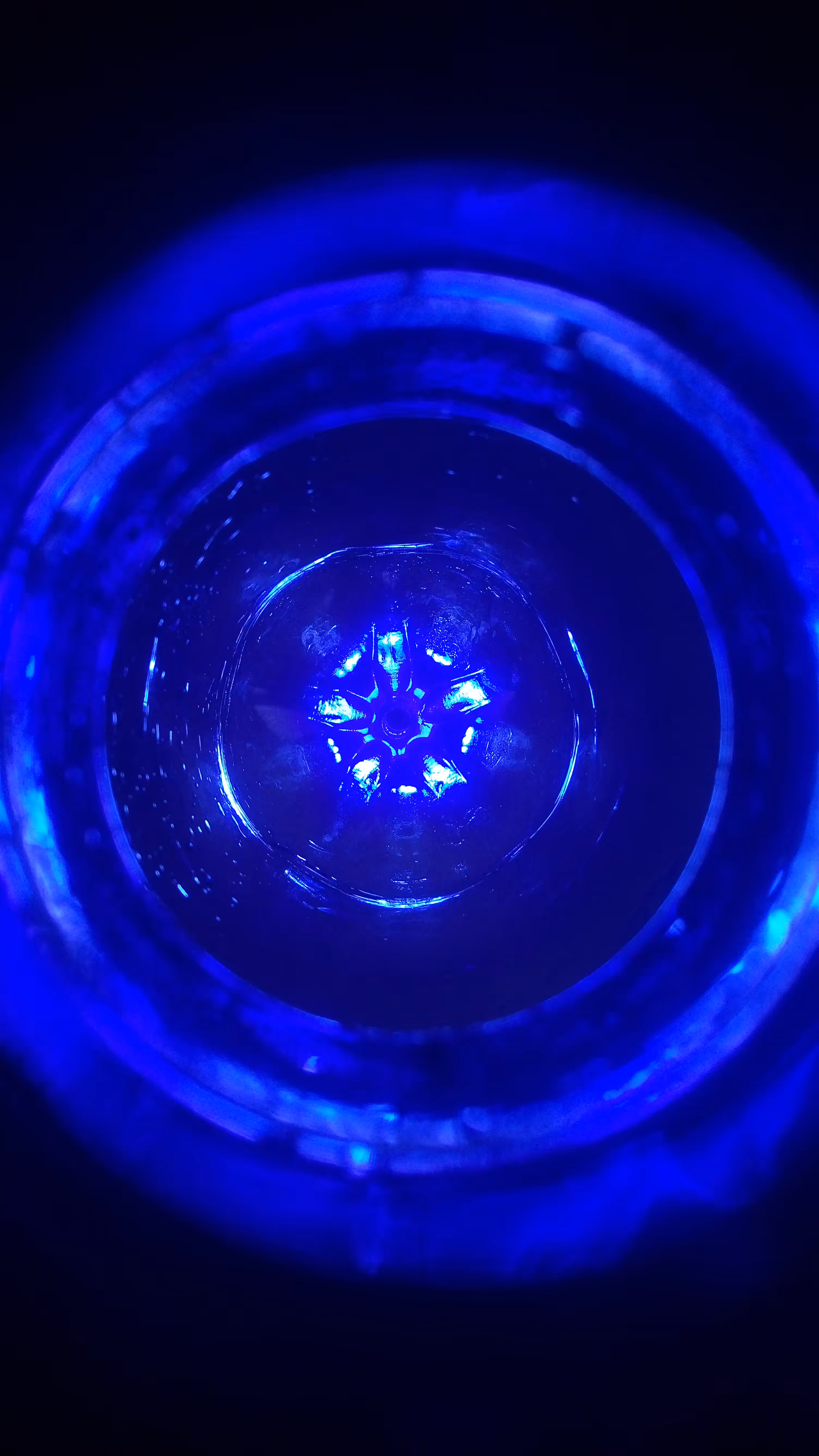 Blue Bautemus
