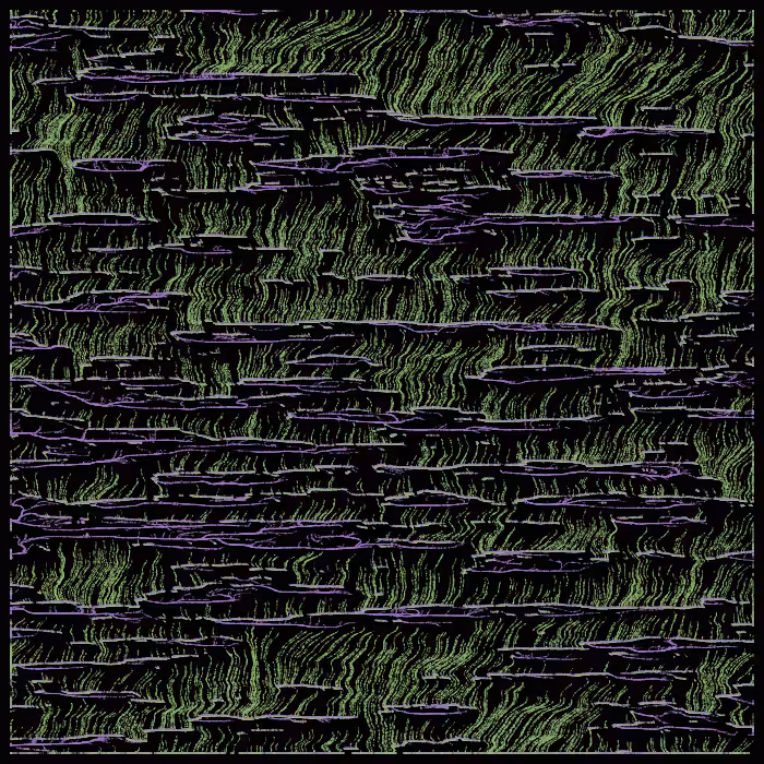 magical swamp #39