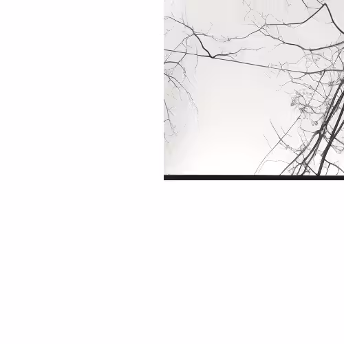 Rodeo posts: [dis]connections pt 3