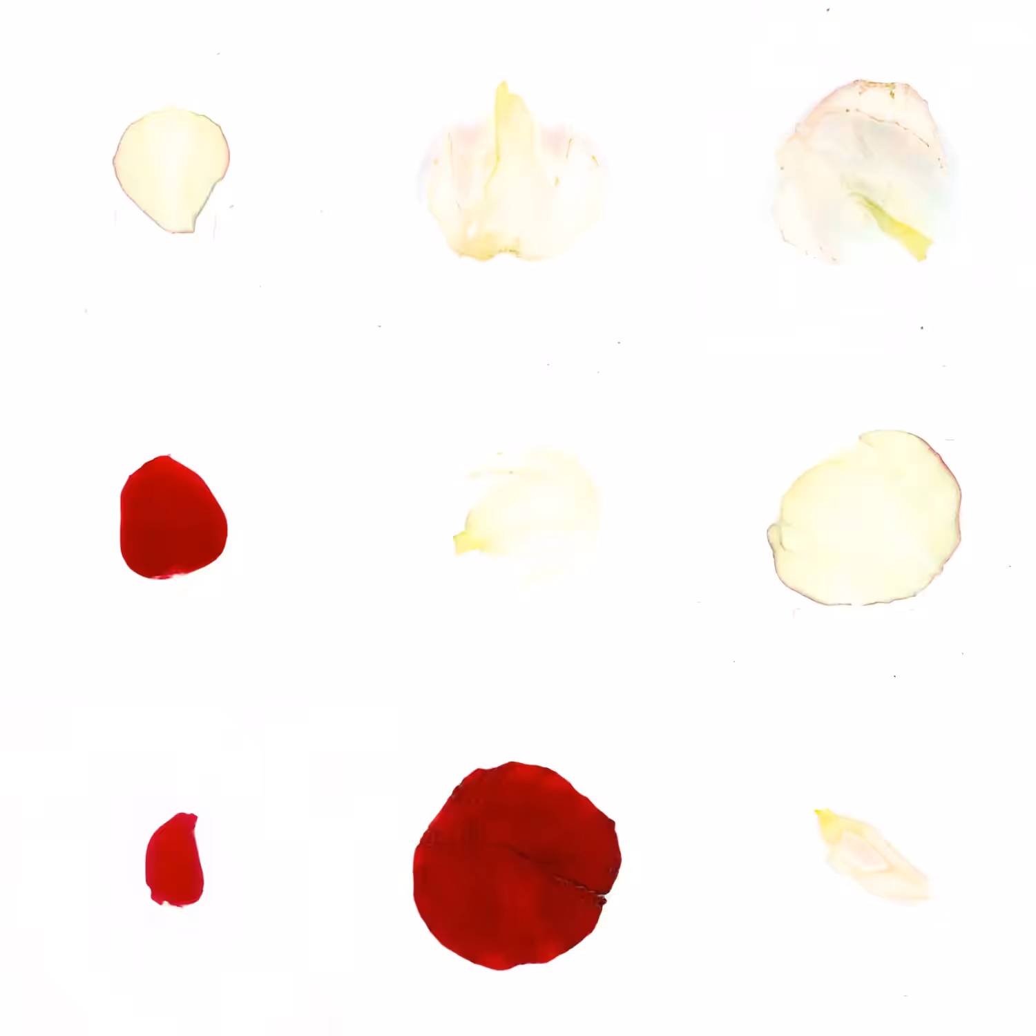 Infinite Petals 3x3#3762