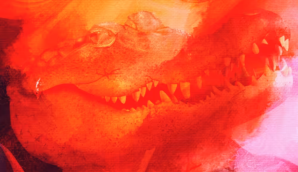 Stir Crazy: Gator Luv u