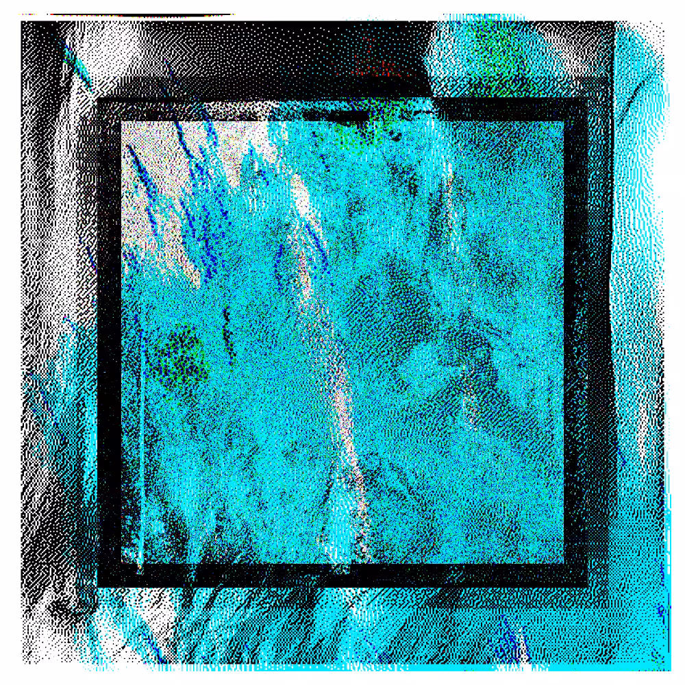 CHX-1 #170