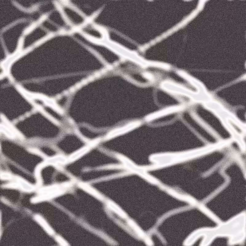 Rhizome #17