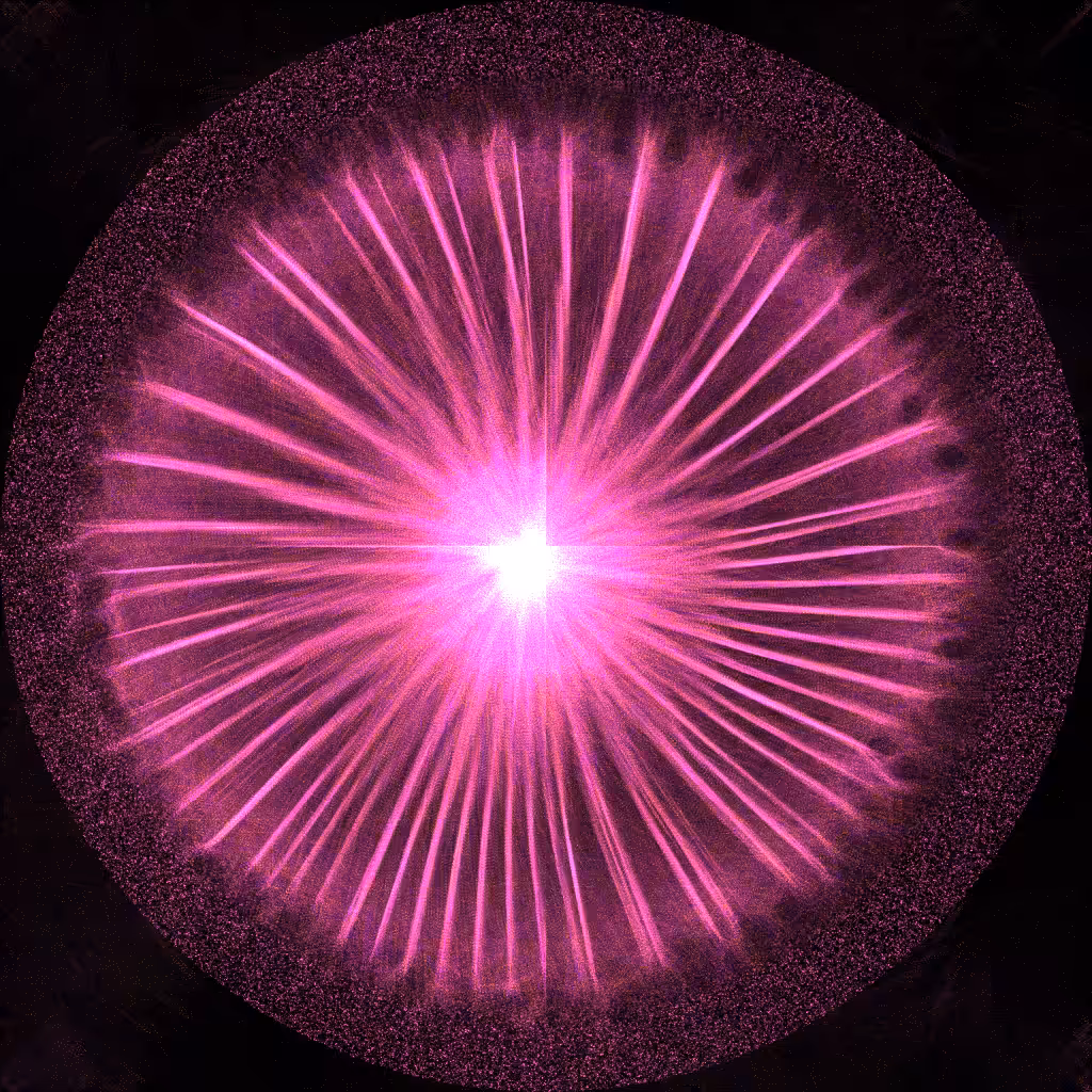 Threadism #4