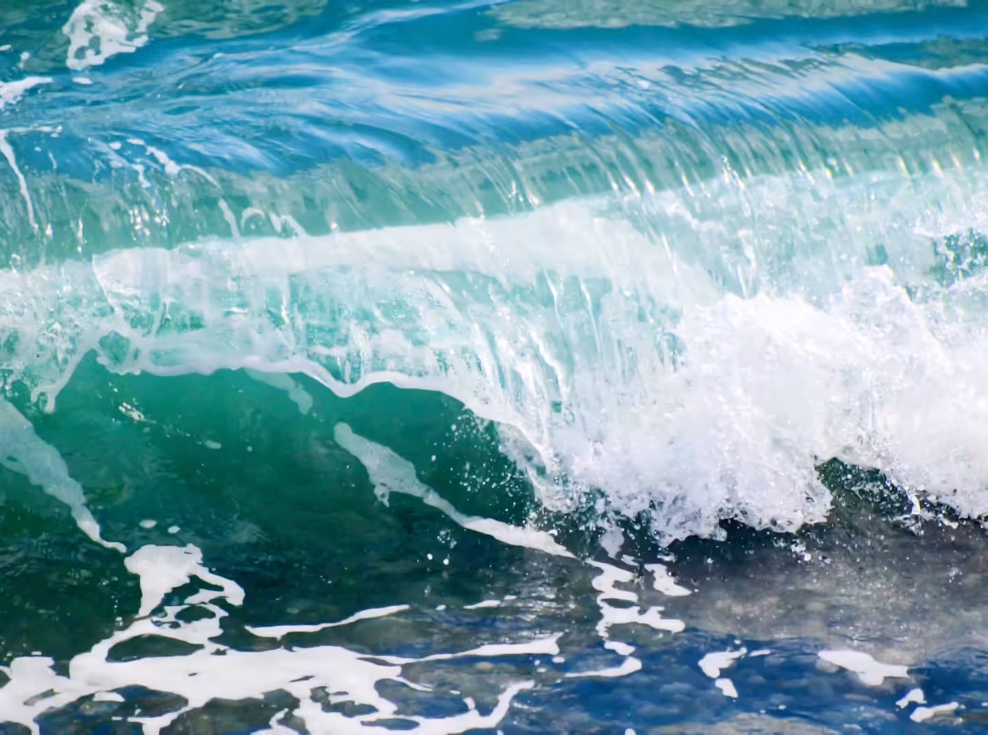 SEASHORE 3