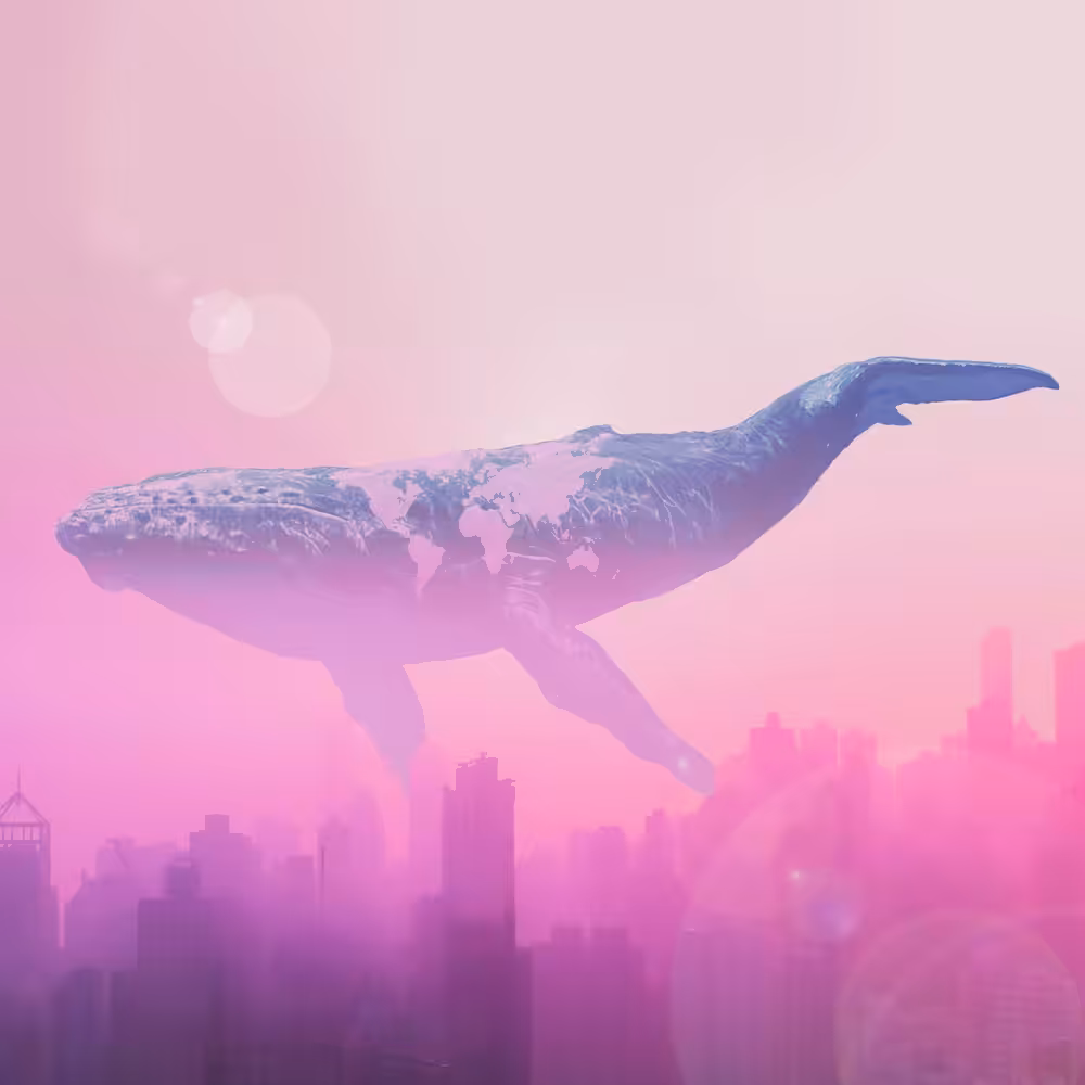 Mega Sky Whale