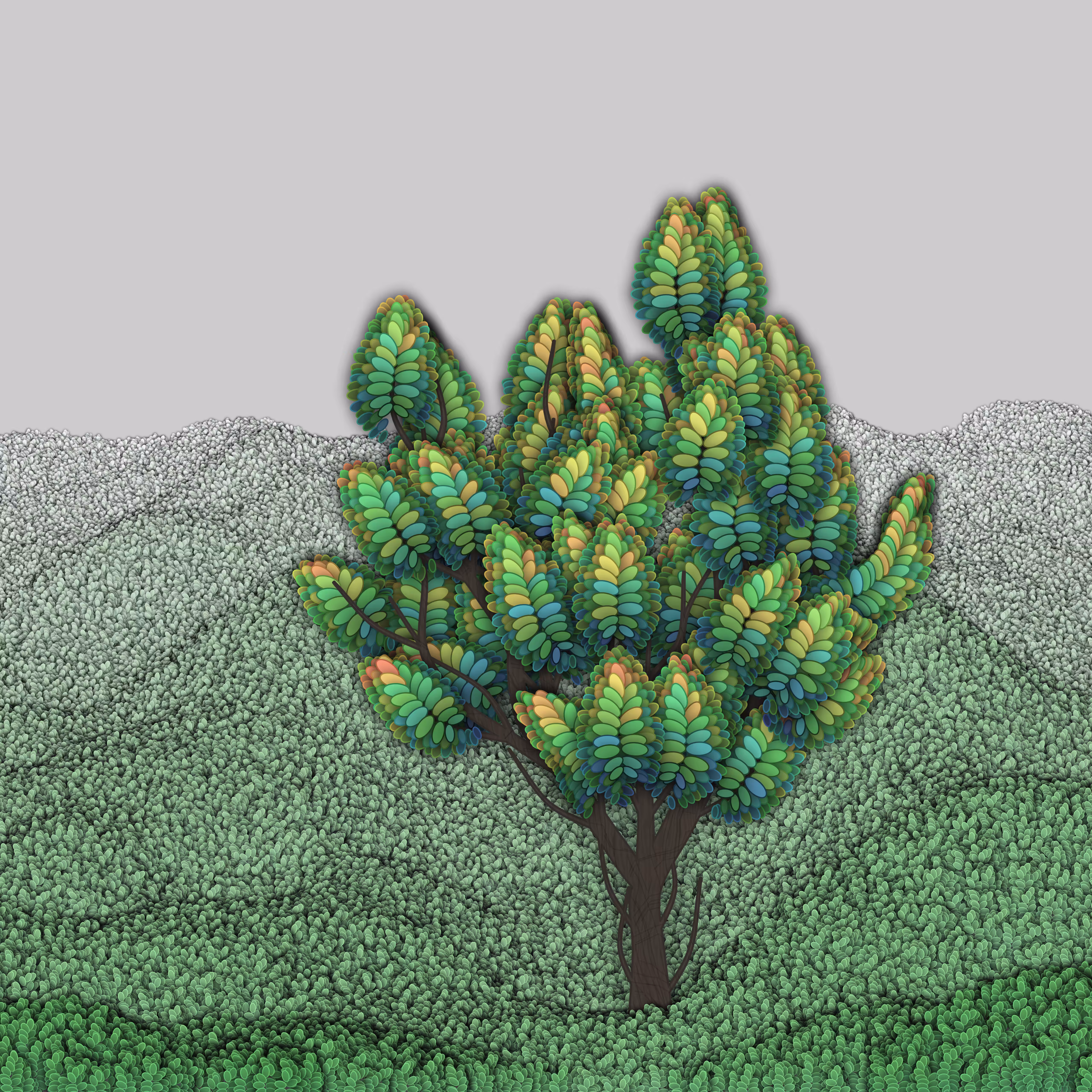 Unfamiliar Trees [3 of 3]