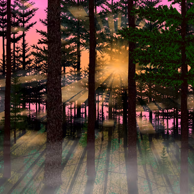 Forest Sunrise #27