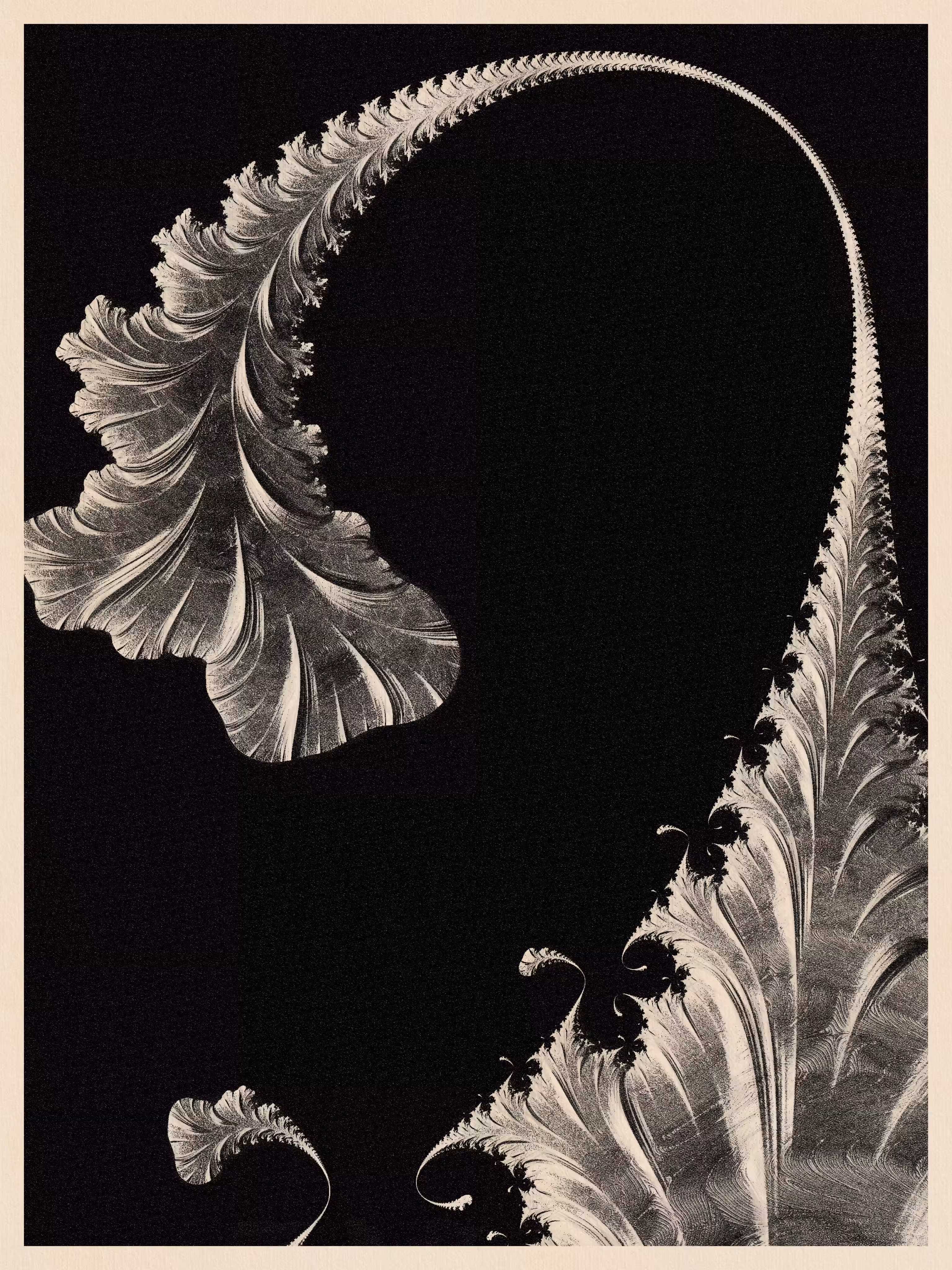 Plant - generative Art